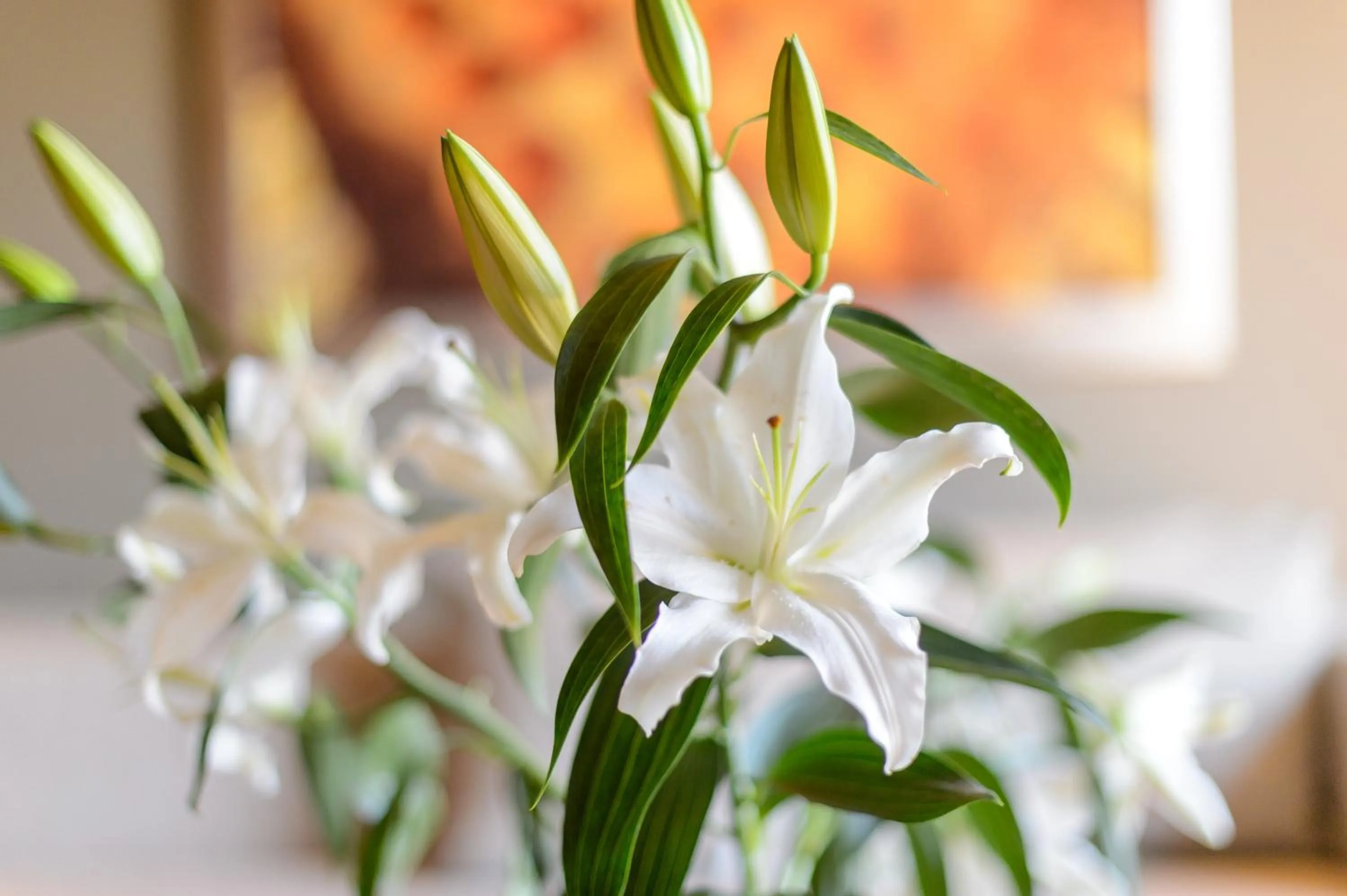 Decorative detail in Alexander Beach Hotel & Spa