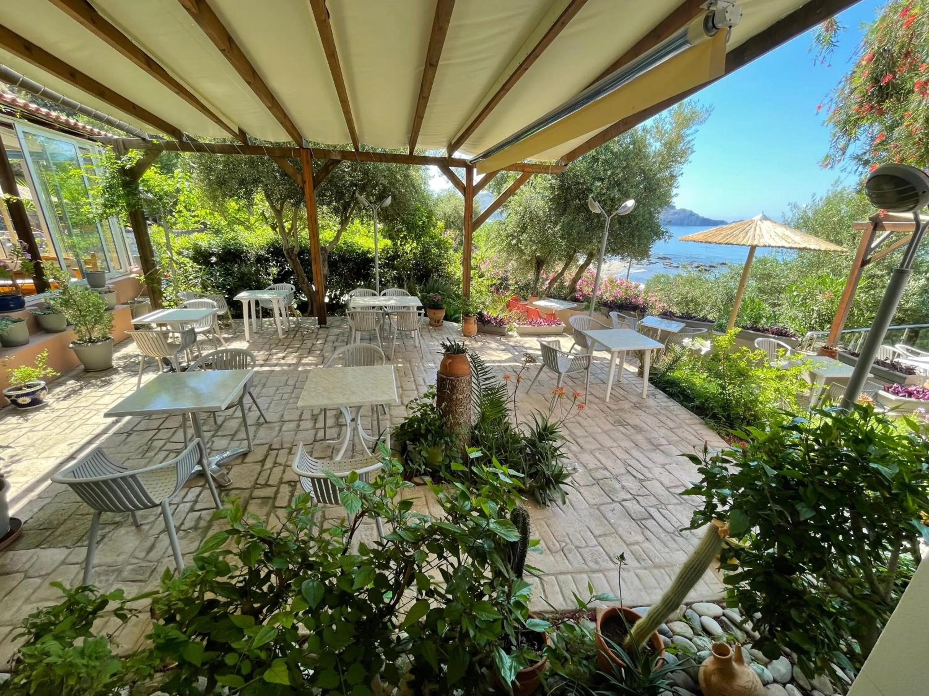 Garden in Horizon Beach Hotel