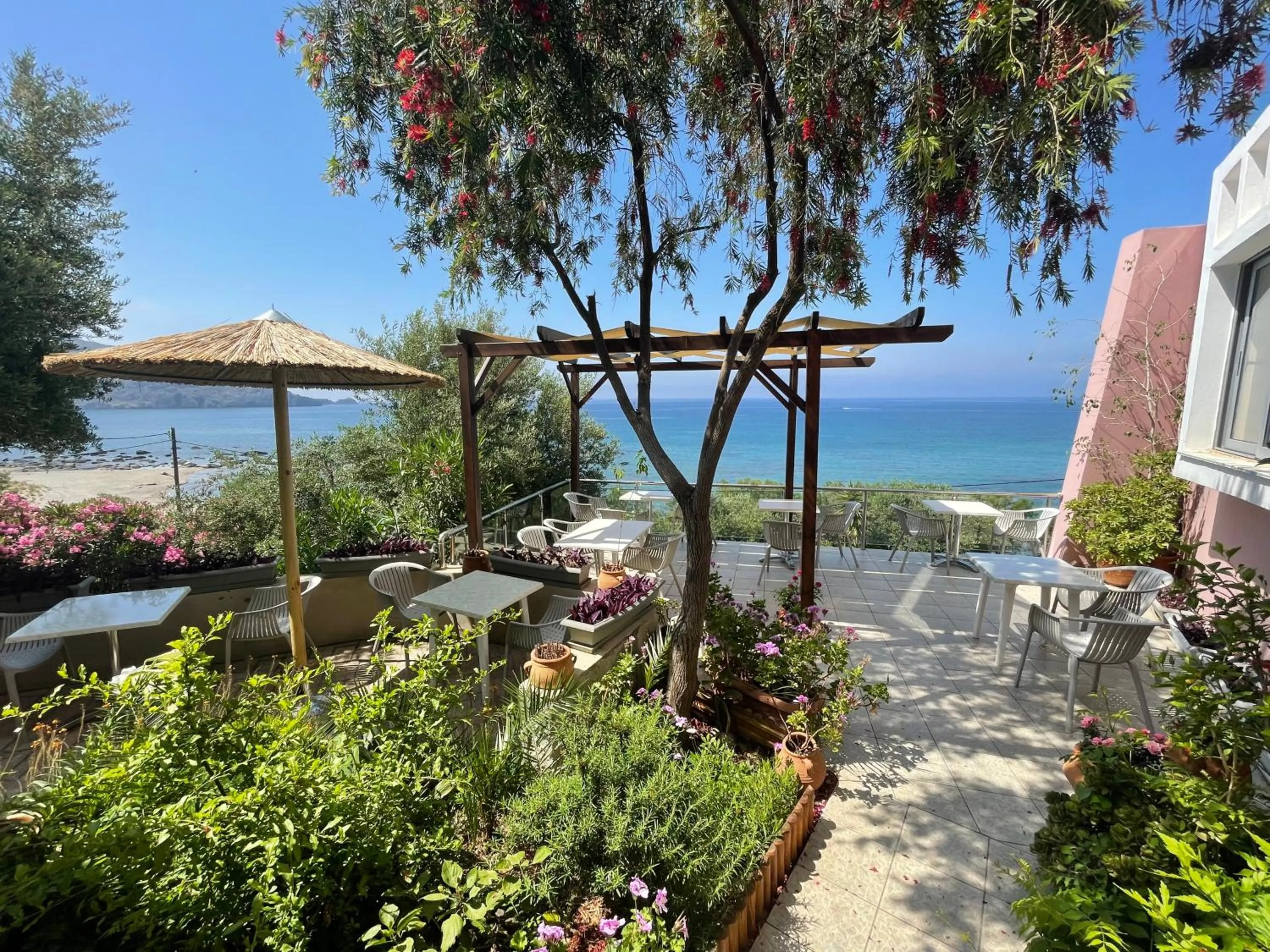 Garden in Horizon Beach Hotel