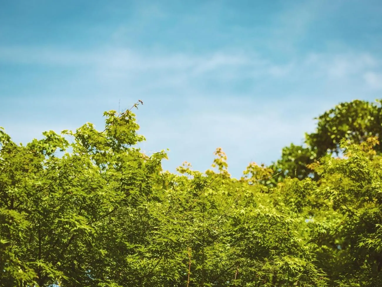 Natural landscape in Etajimasou Hotel & SPA Hiroshima