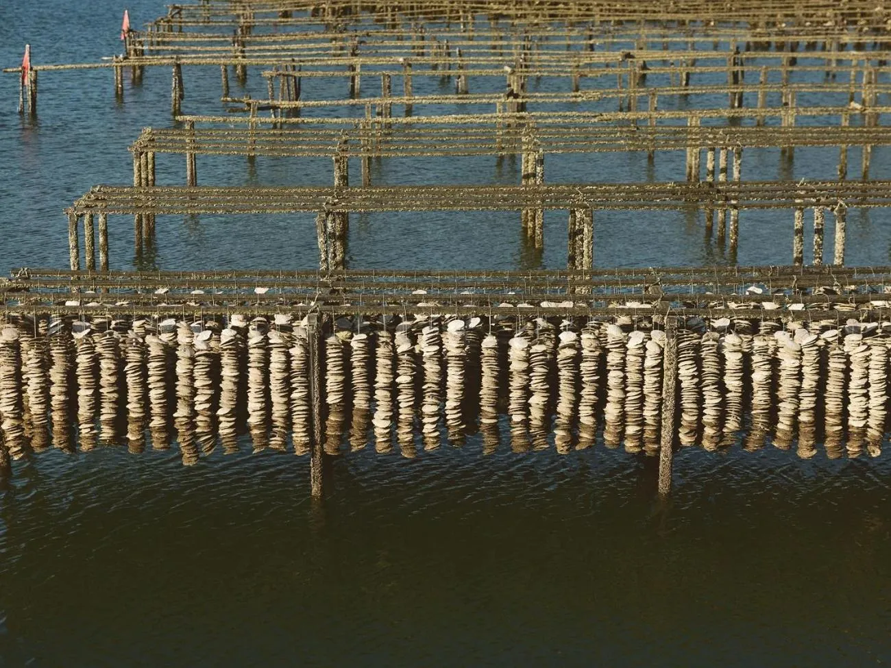 Natural landscape in Etajimasou Hotel & SPA Hiroshima