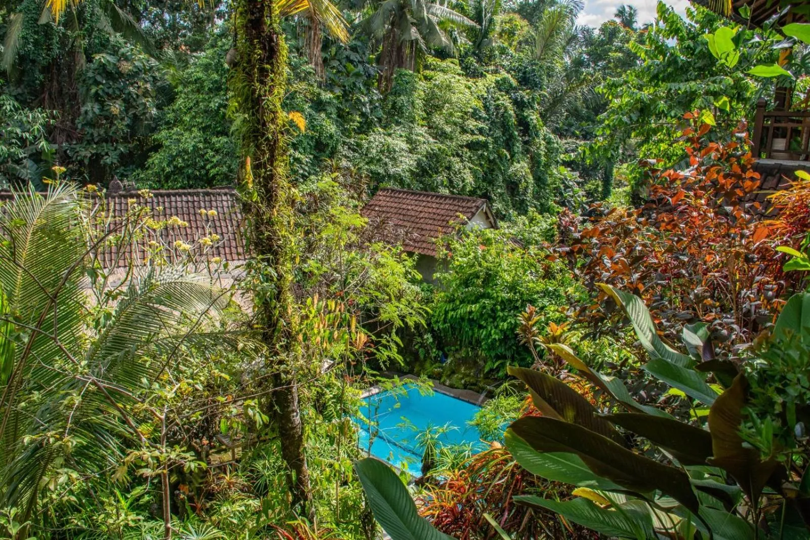 View (from property/room) in Down The Rabbit Hole