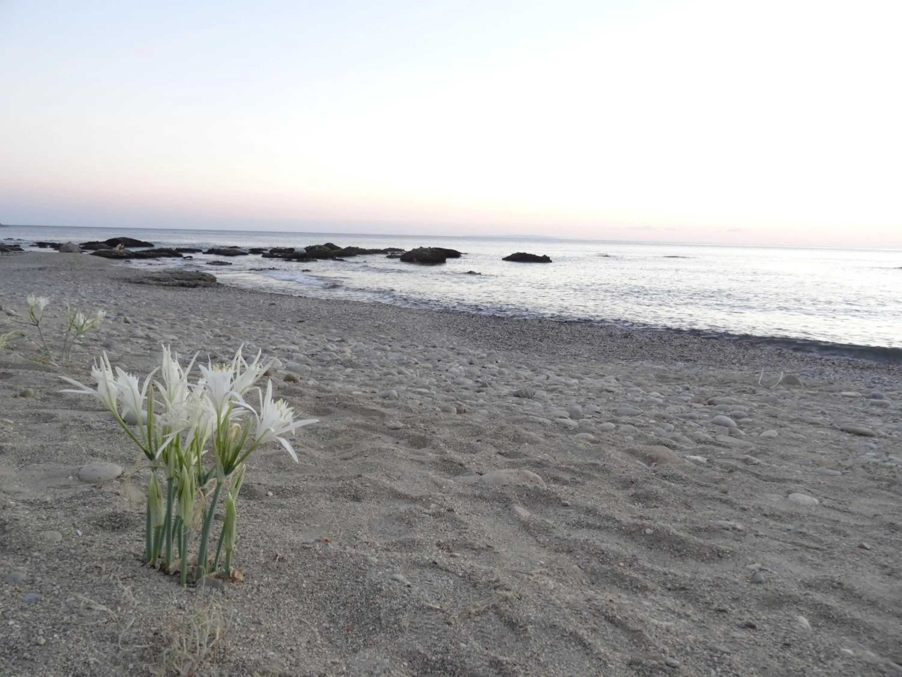 Beach in Thalassa House Apartments