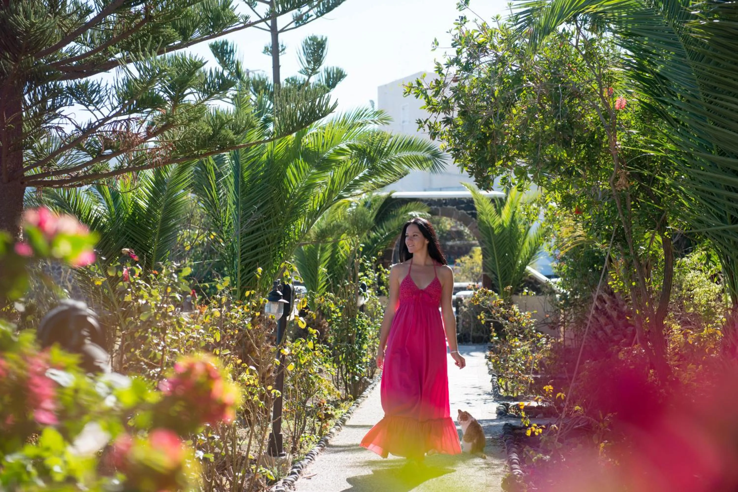 Garden in Aelia by Eltheon