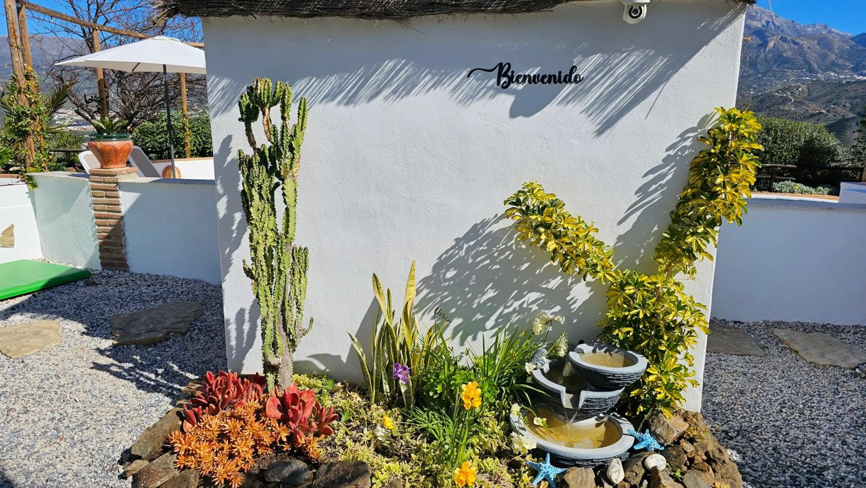Garden in Casita Johanna