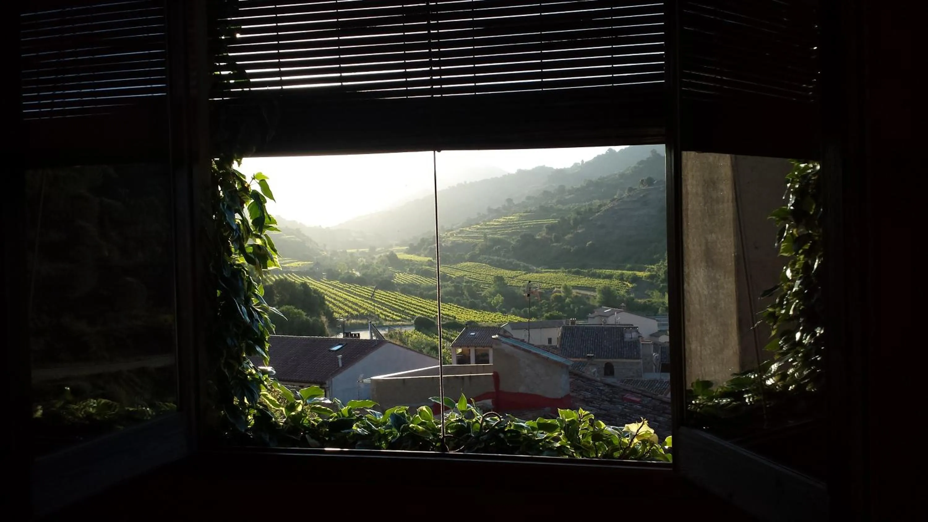 Natural landscape in Cal Porrerà: Lo Molló