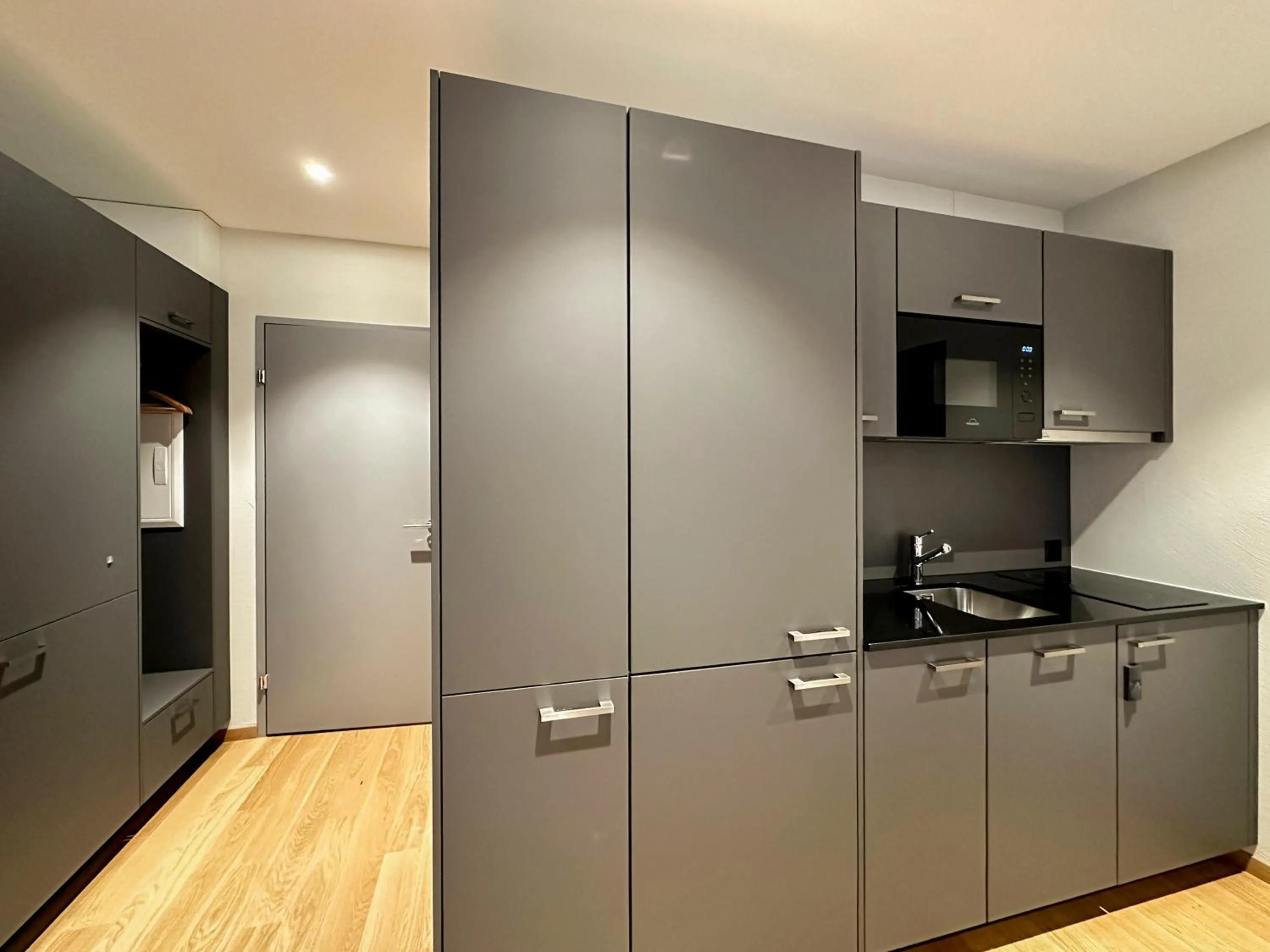 Kitchen or kitchenette in Aparthotel Beinwil am See