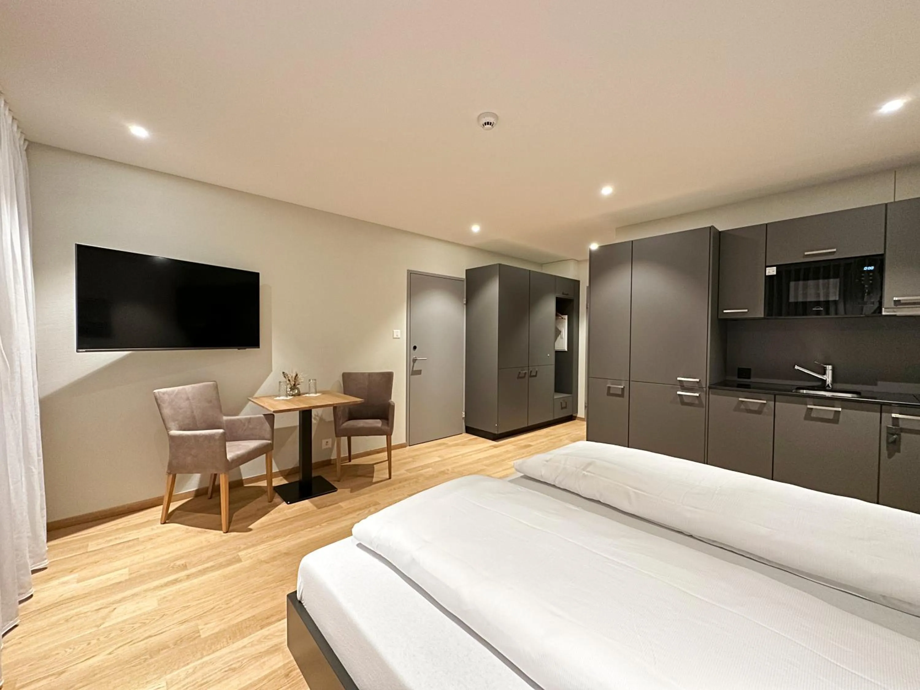 TV and multimedia in Aparthotel Beinwil am See