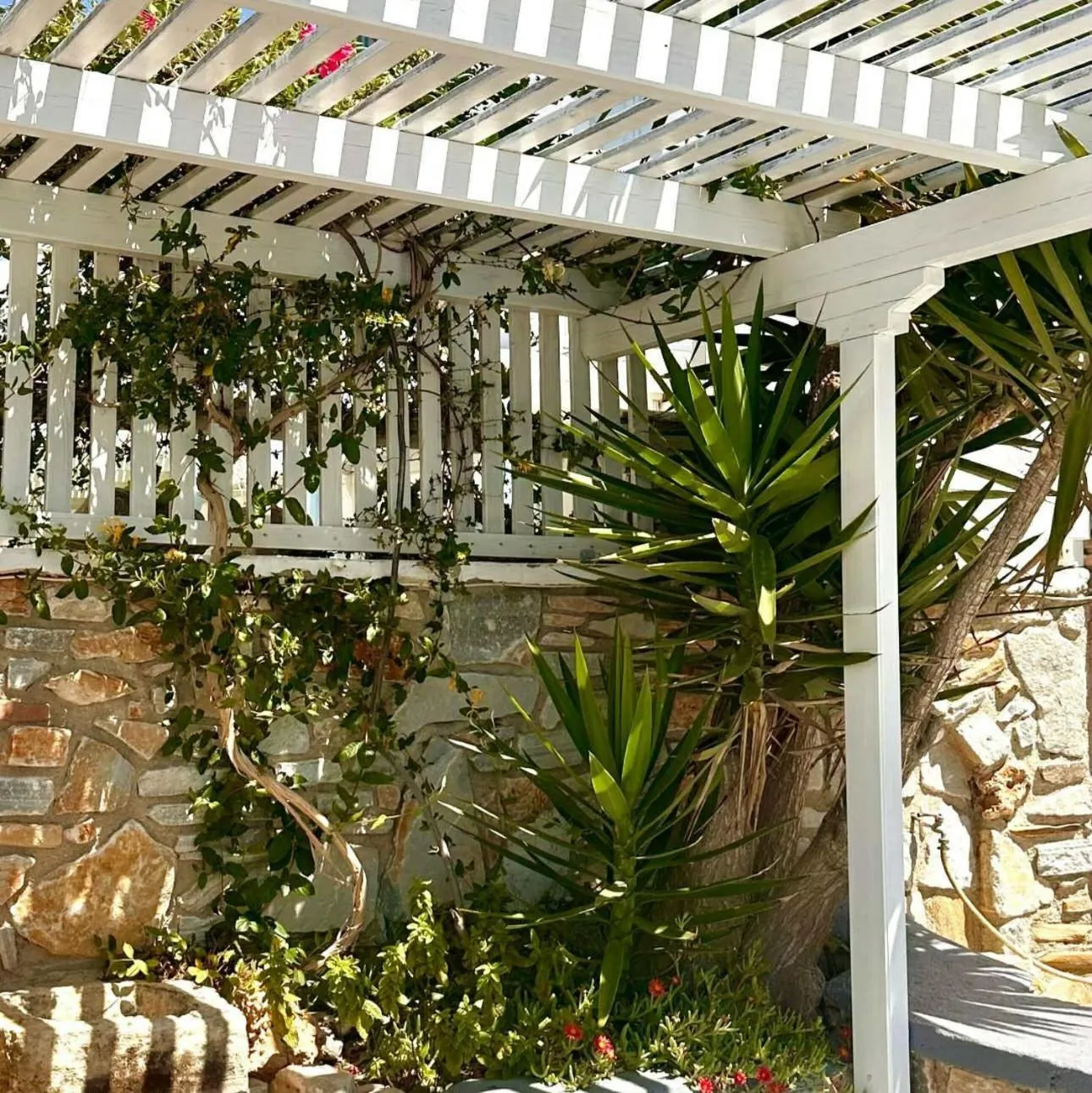 Garden in Markos Village Pension