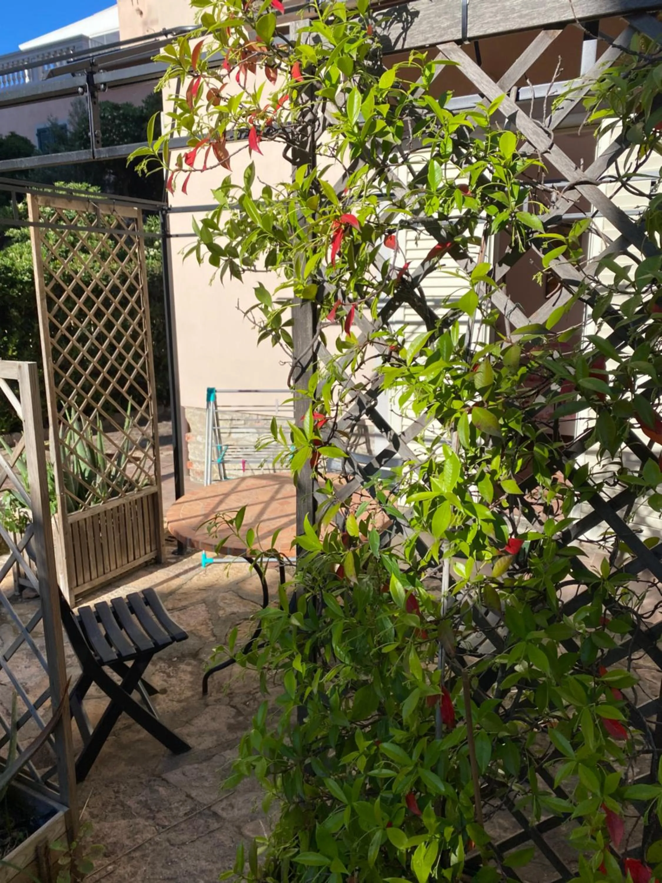 Villa il Boschetto
