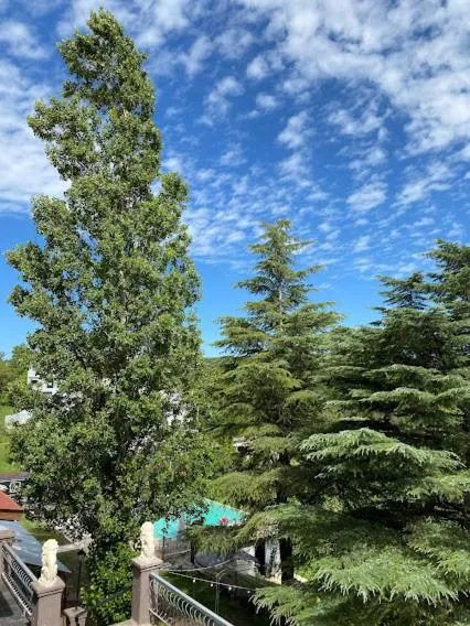 Patio in Carod Espacio Serrano