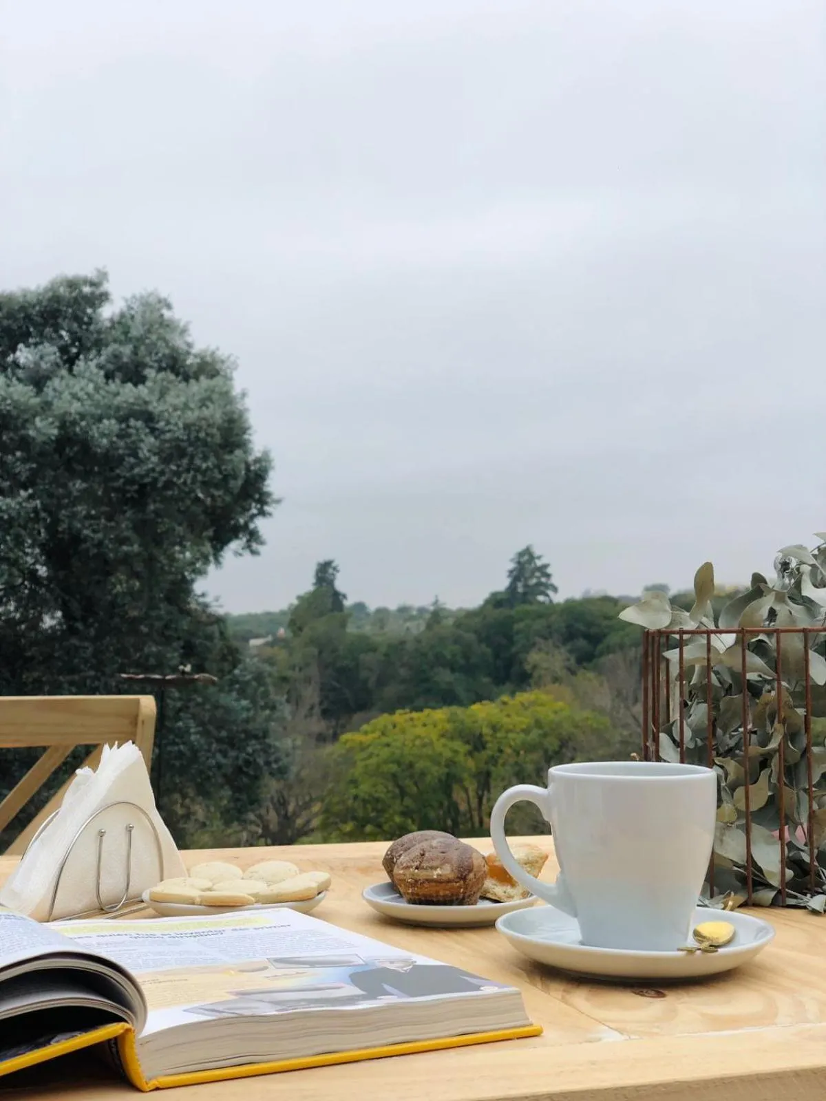 Carod Espacio Serrano