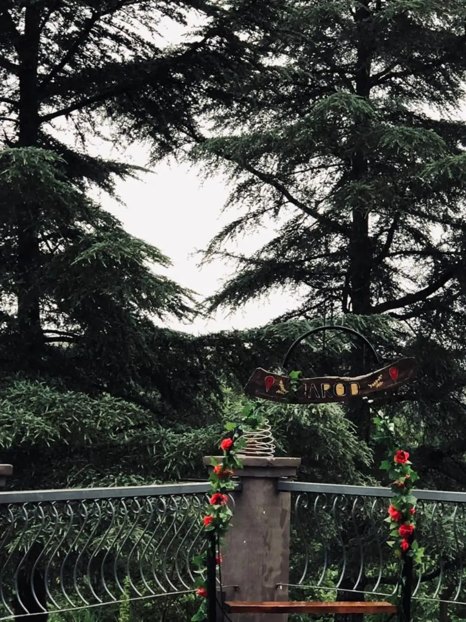 Carod Espacio Serrano