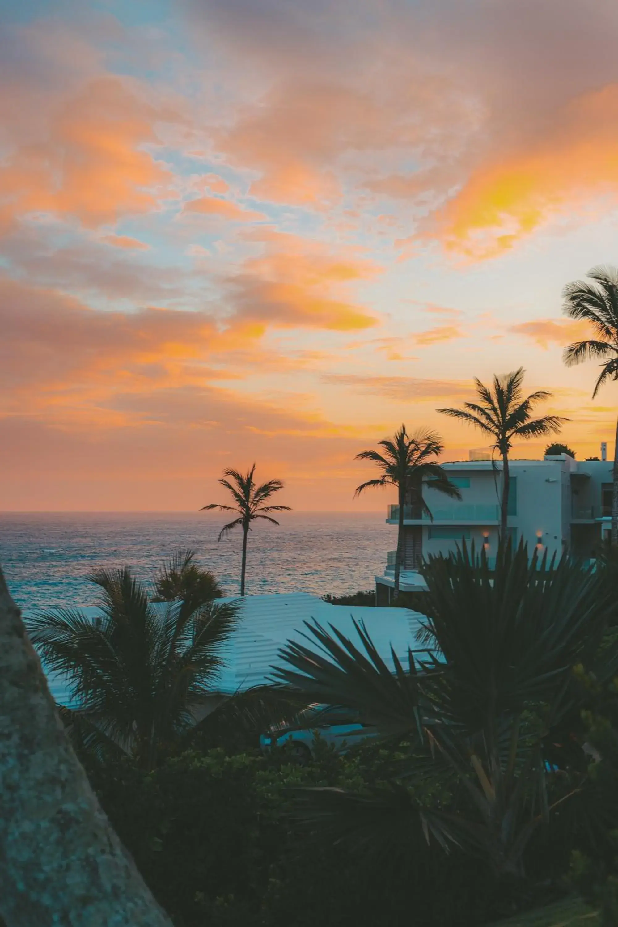 Azura Bermuda Azura Bermuda