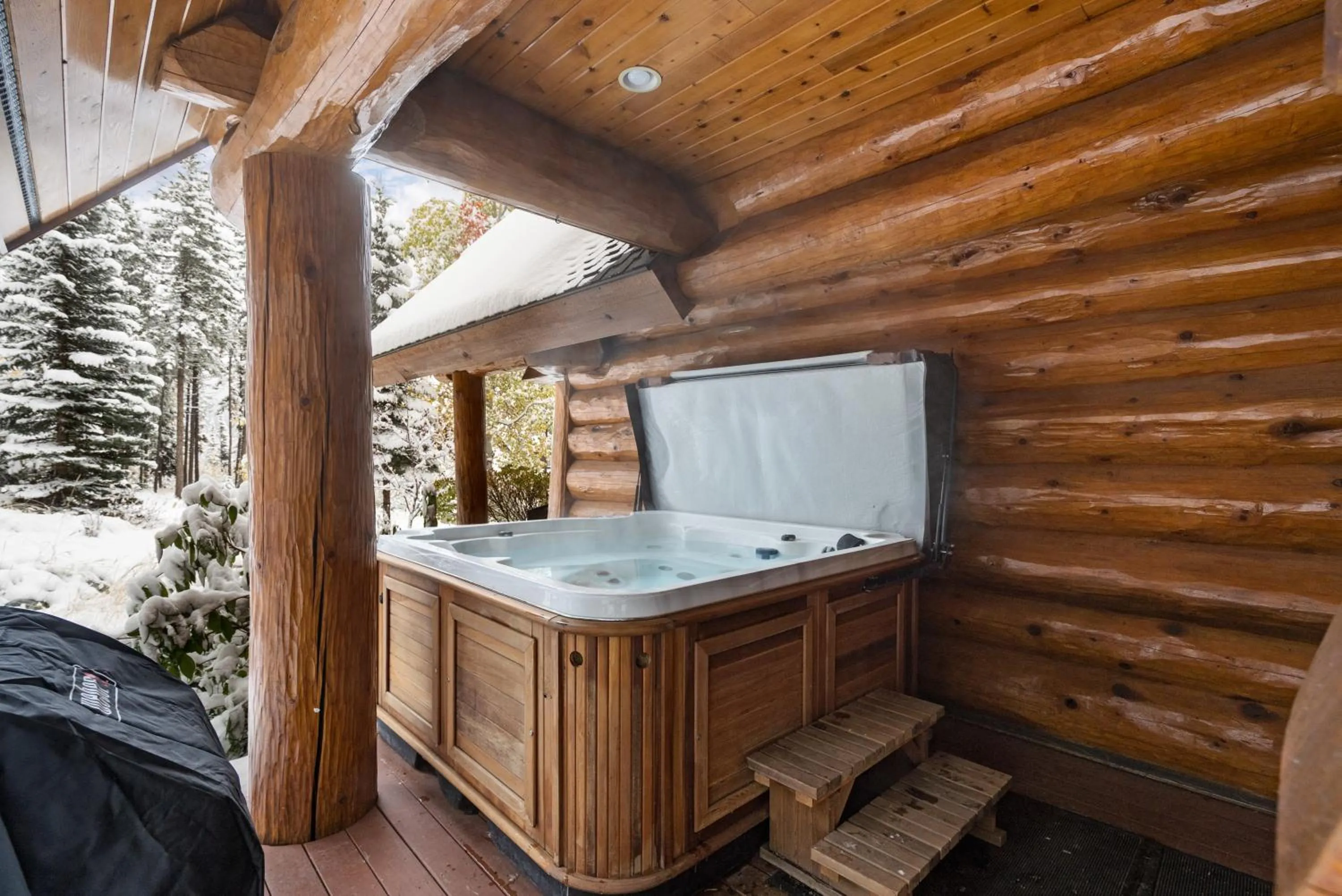 The Grand Alpine Lodge