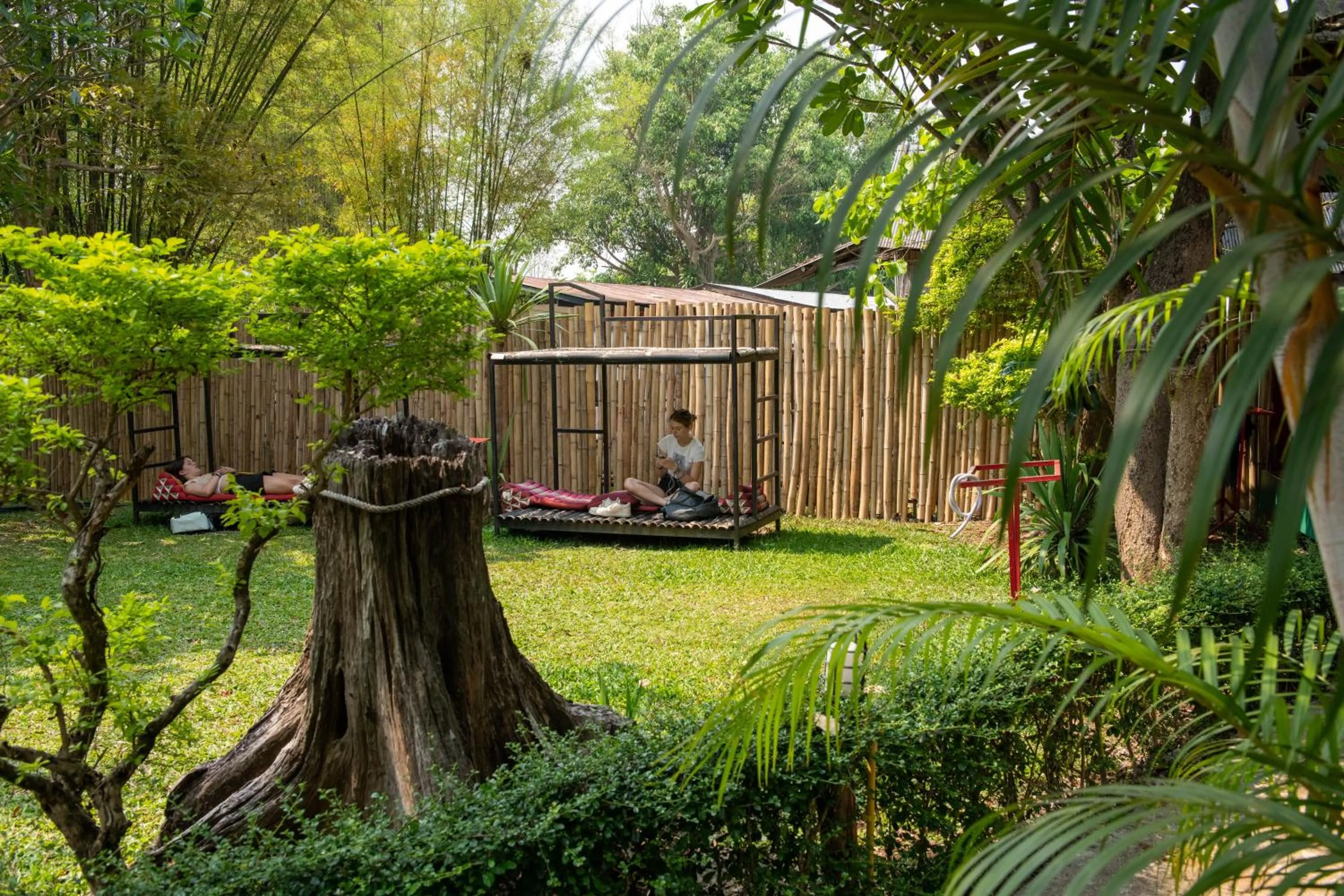 Garden in Mad Monkey Pai