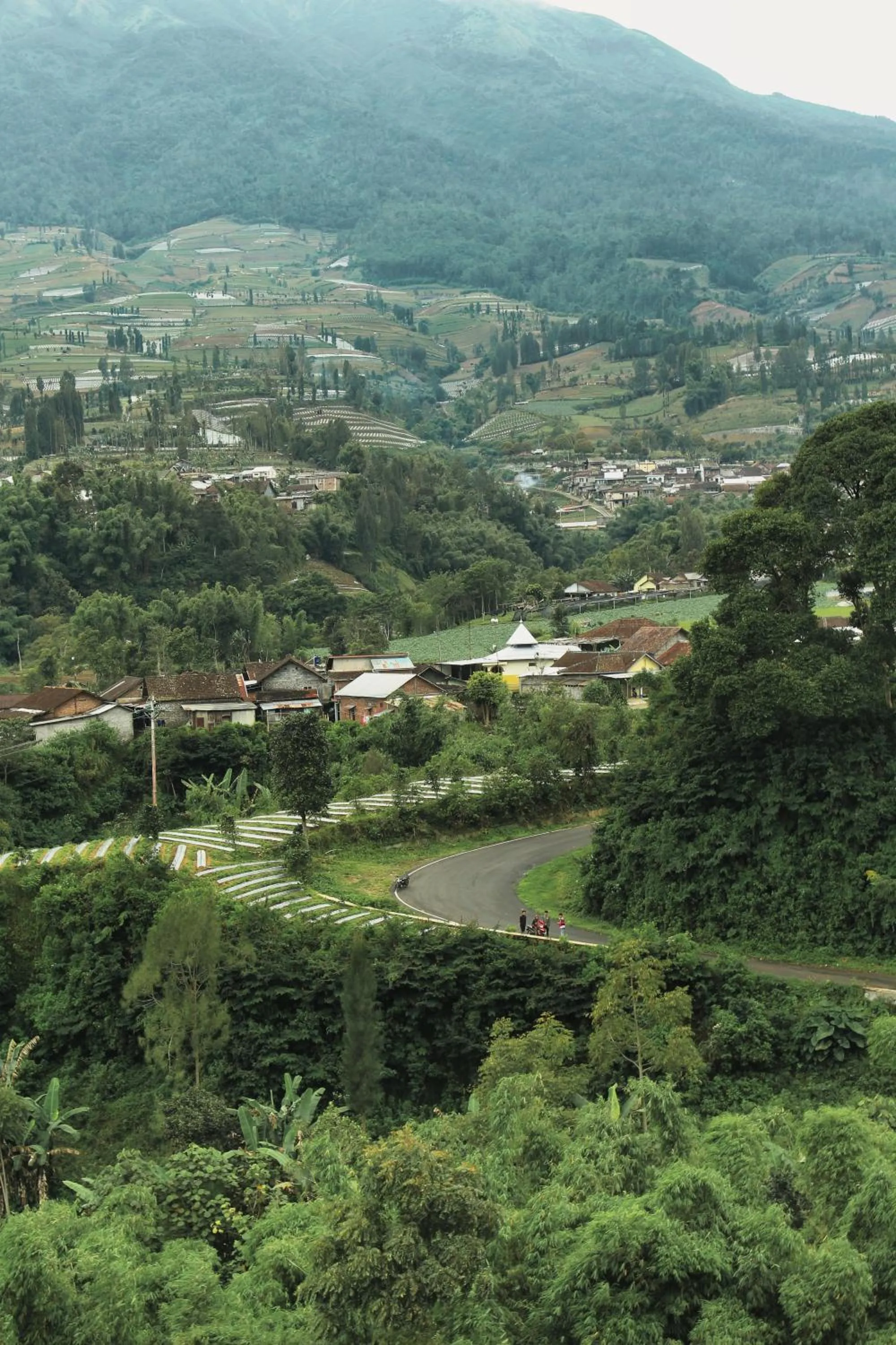 Natural landscape in Tree Love Temanggung Hotel