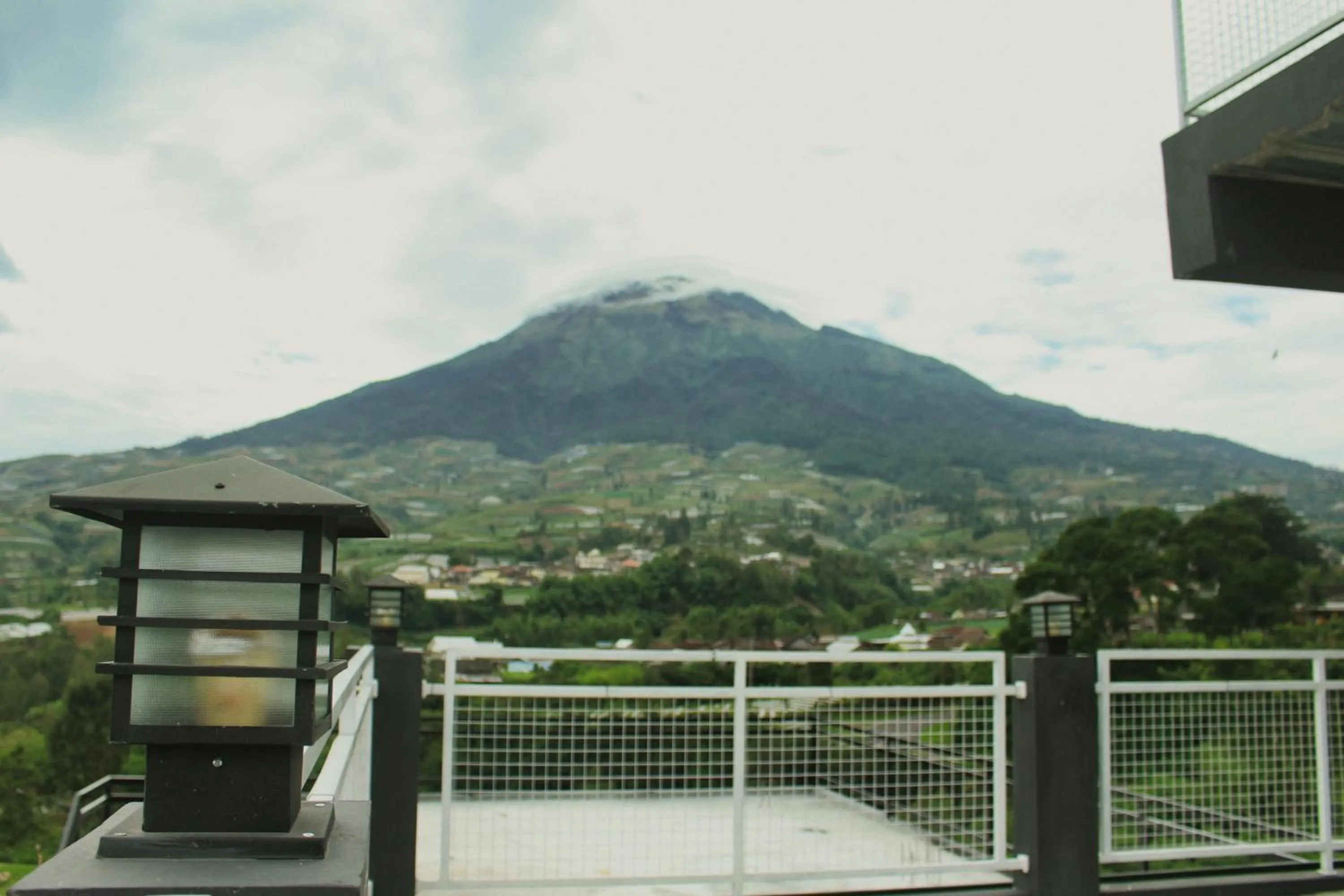 Mountain view in Tree Love Temanggung Hotel