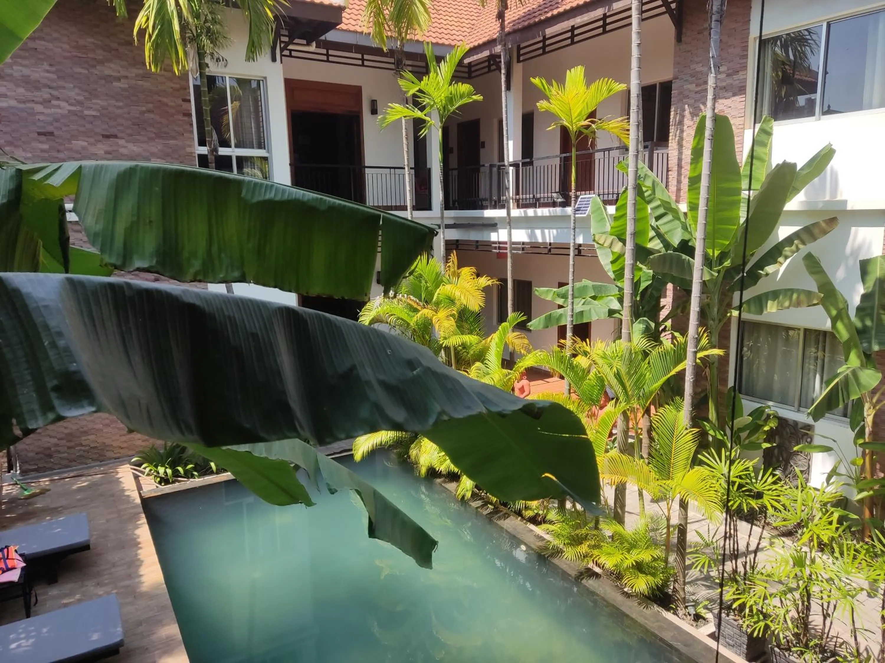 Swimming pool in River and villa