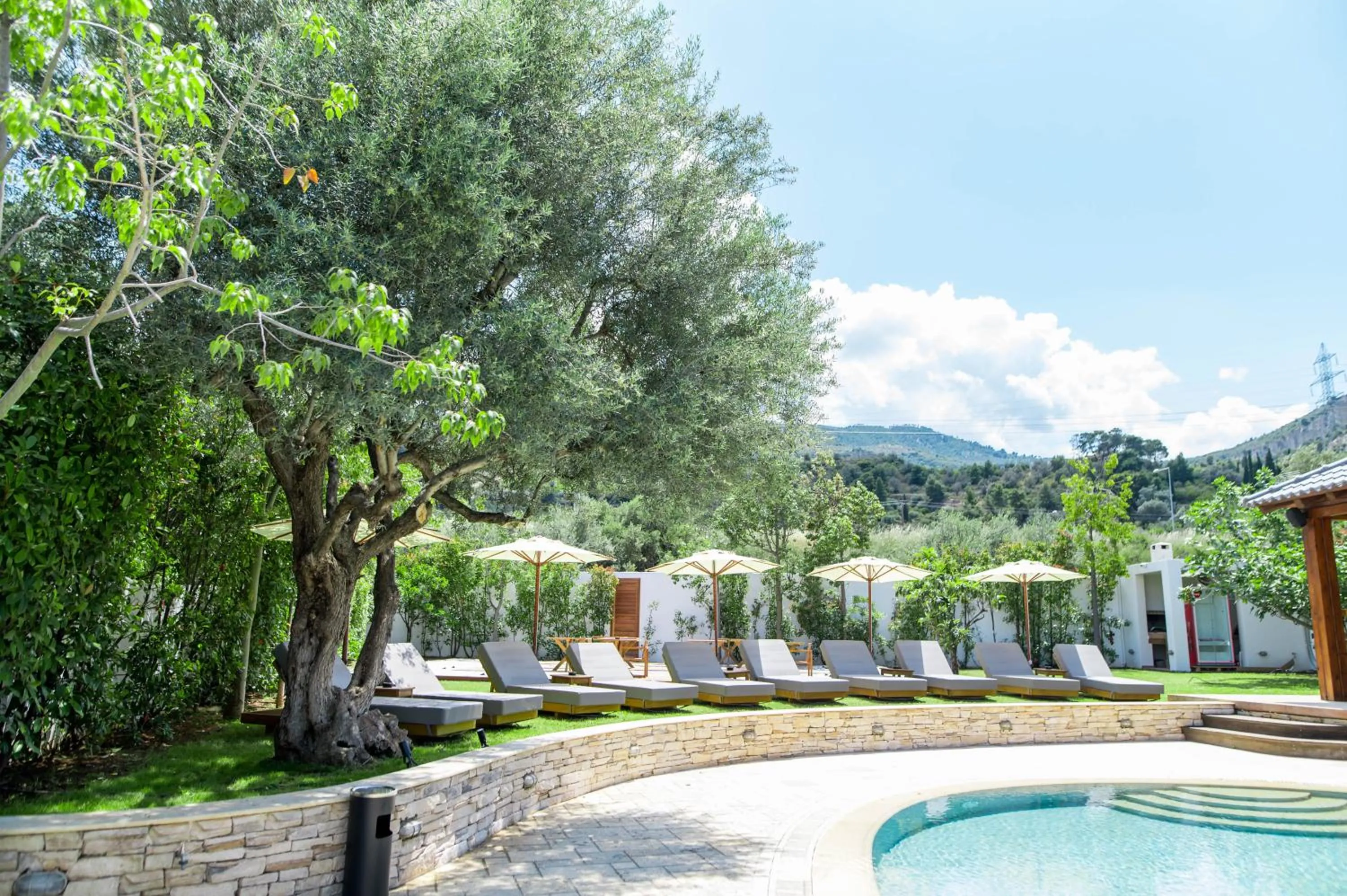 Natural landscape in Alissachni SeaSide Hotel