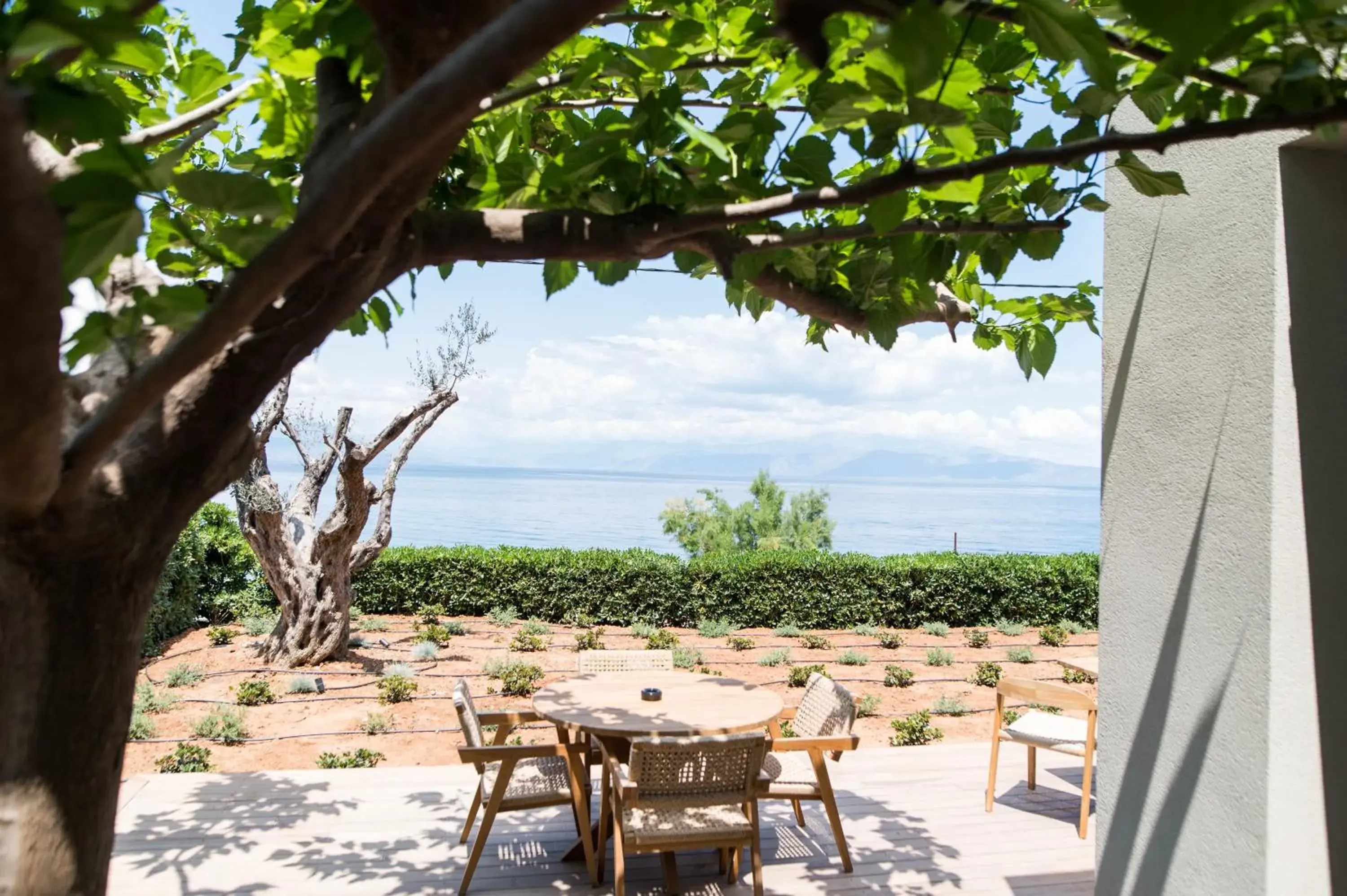 Restaurant/places to eat in Alissachni SeaSide Hotel Restaurant/places to eat in Alissachni SeaSide Hotel