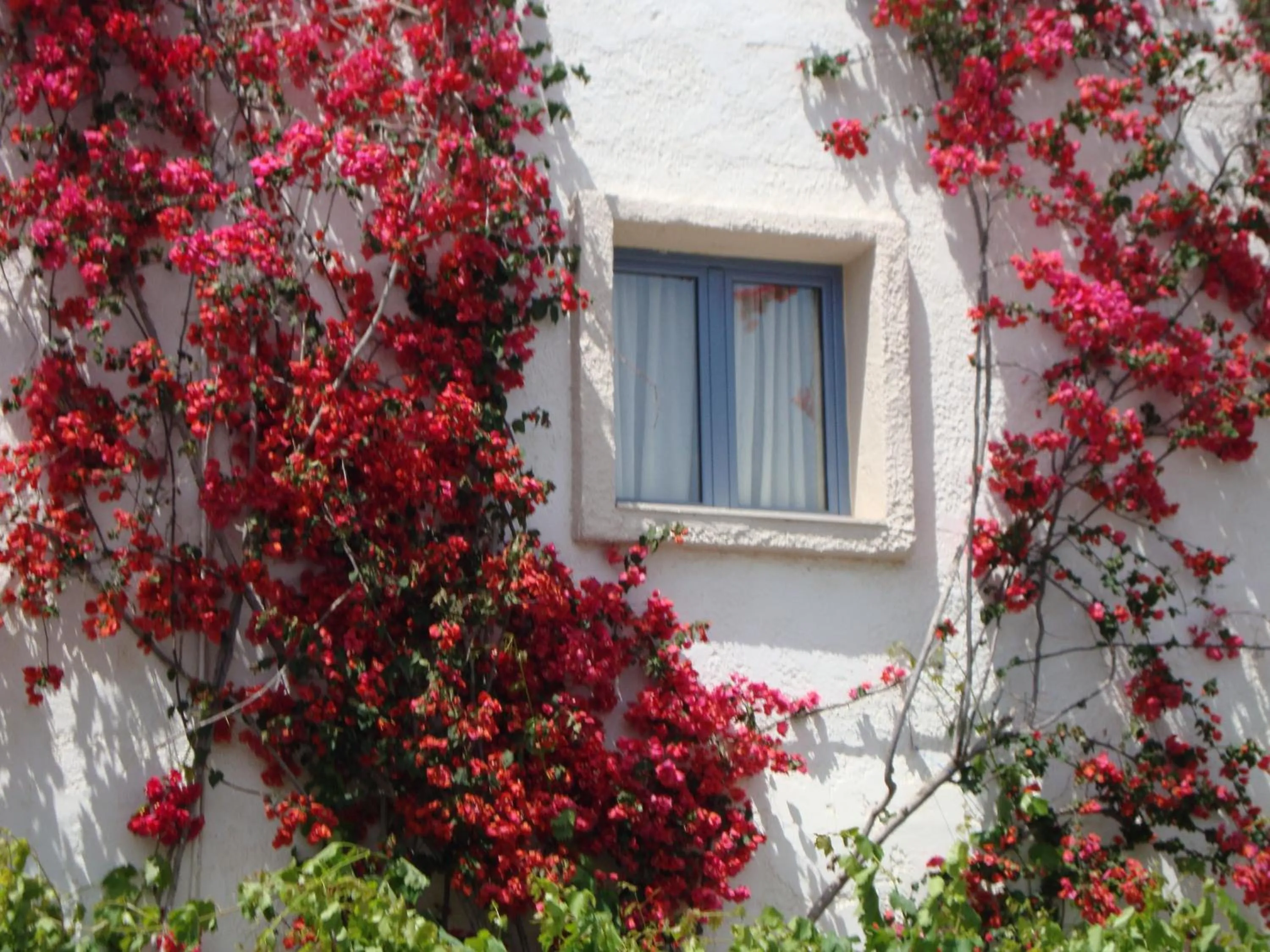 Facade/entrance in Nikolas Apartments