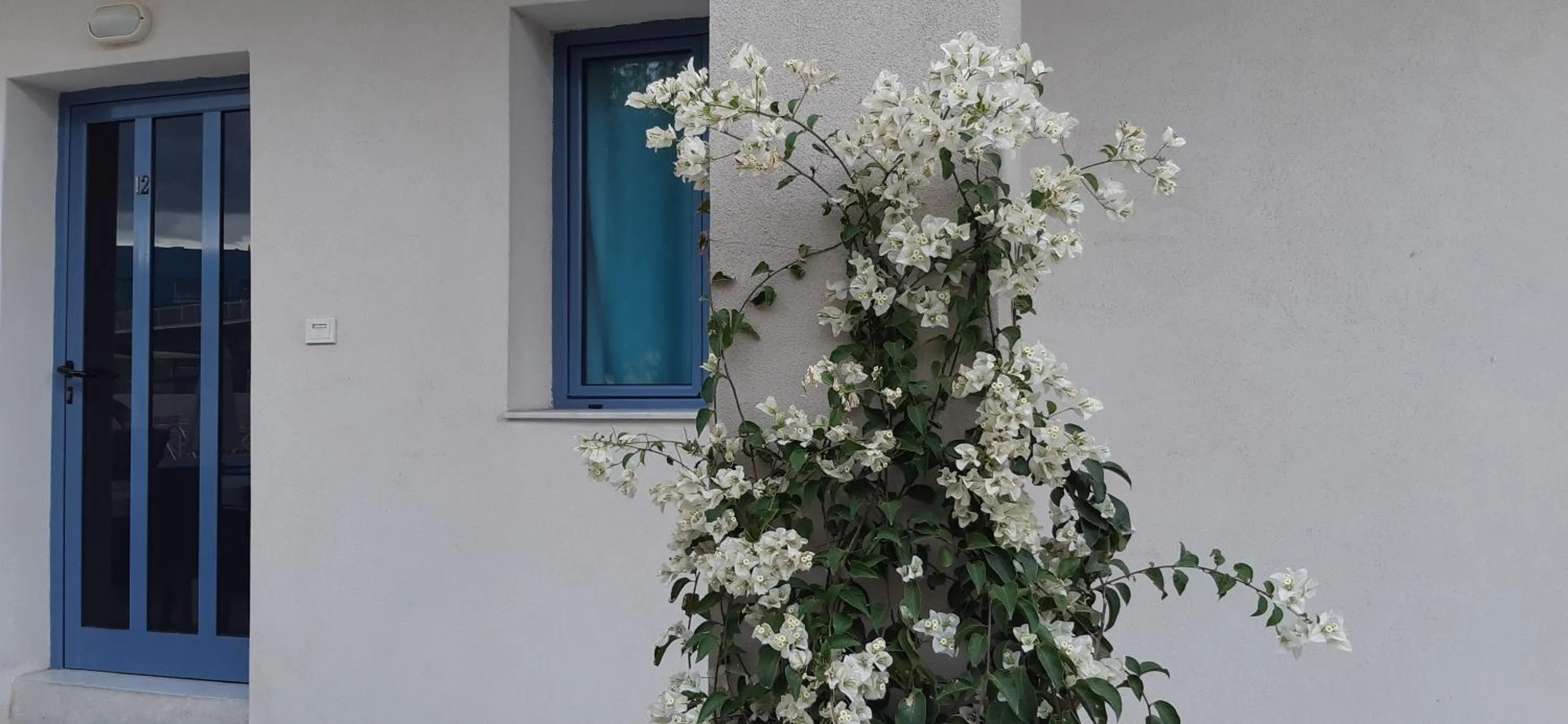 Garden in Nikolas Apartments
