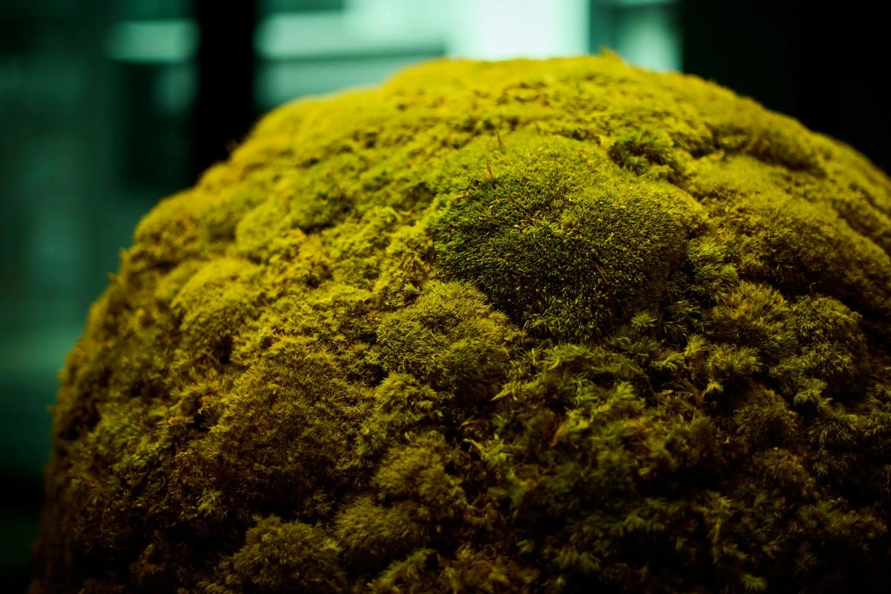 Decorative detail in RIHGA Place Kyoto Shijo Karasuma