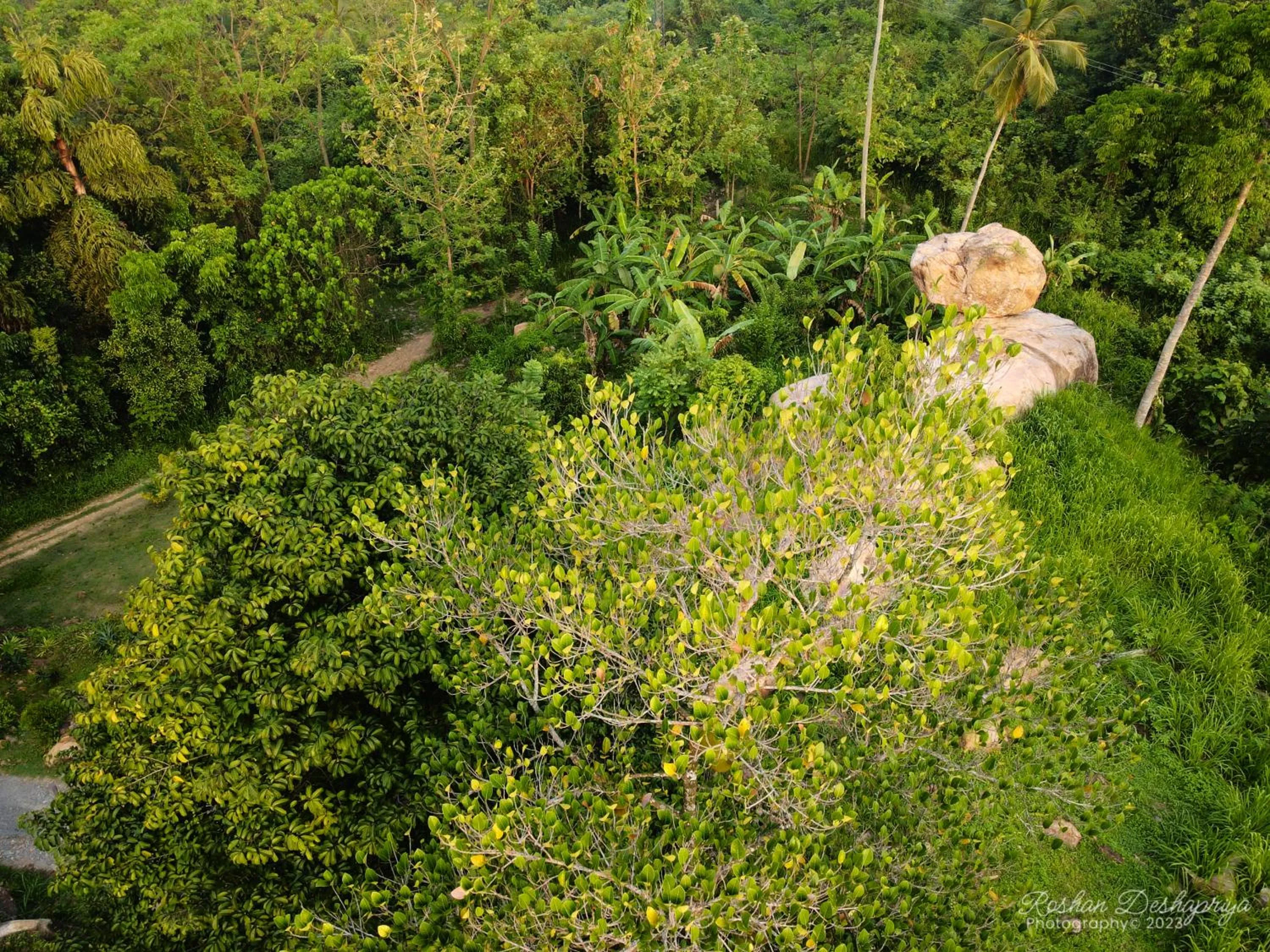 Property building in Kakulanda Resort