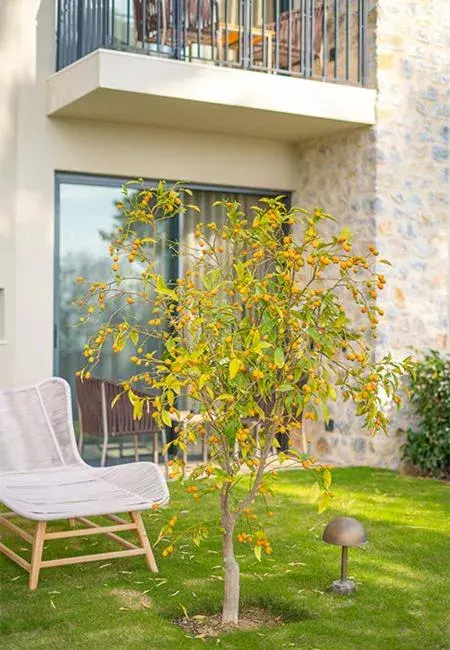 Palaia Hotel Datça Palaia Hotel Datça