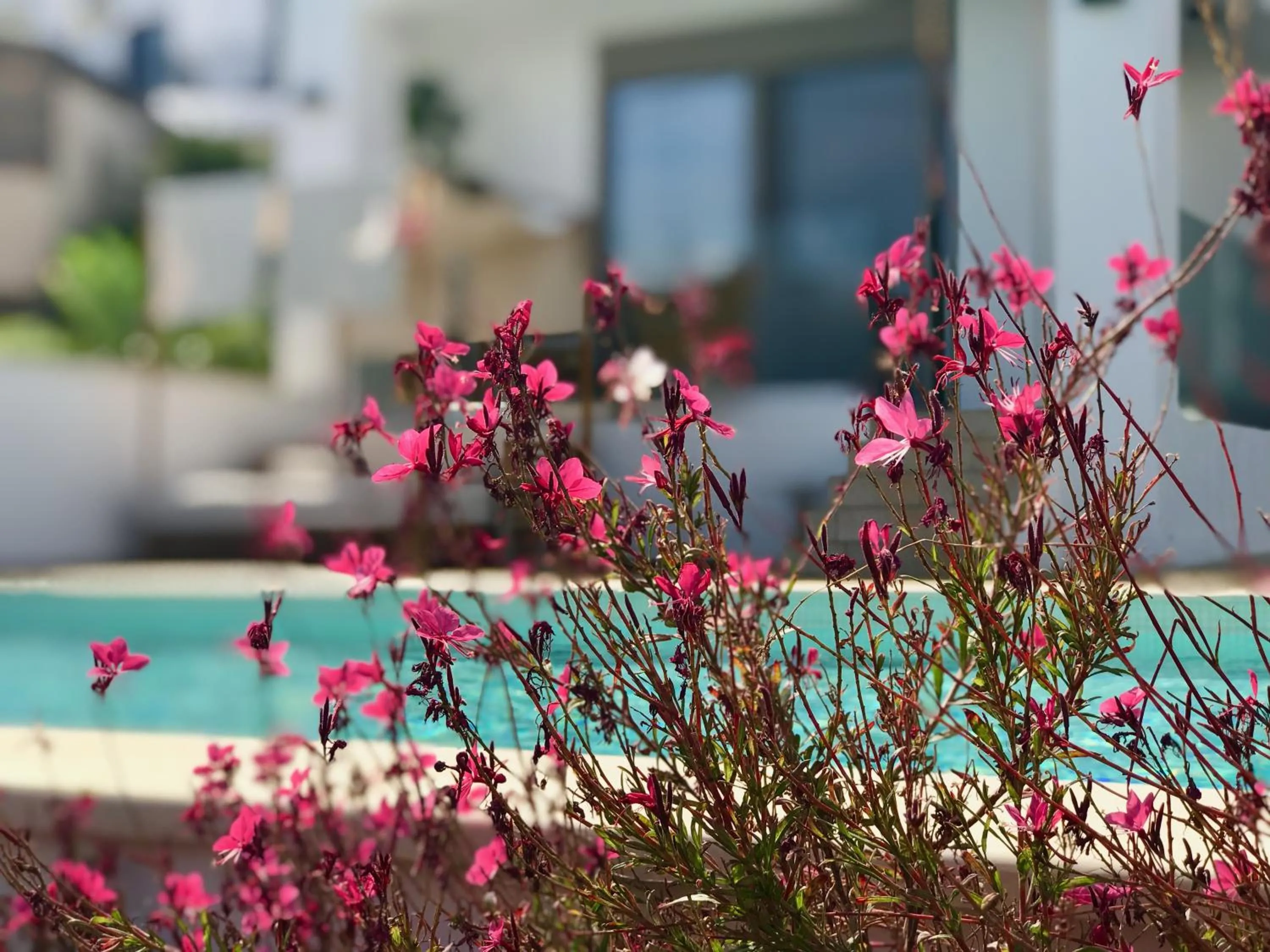 Garden in Creta Blue Boutique Hotel