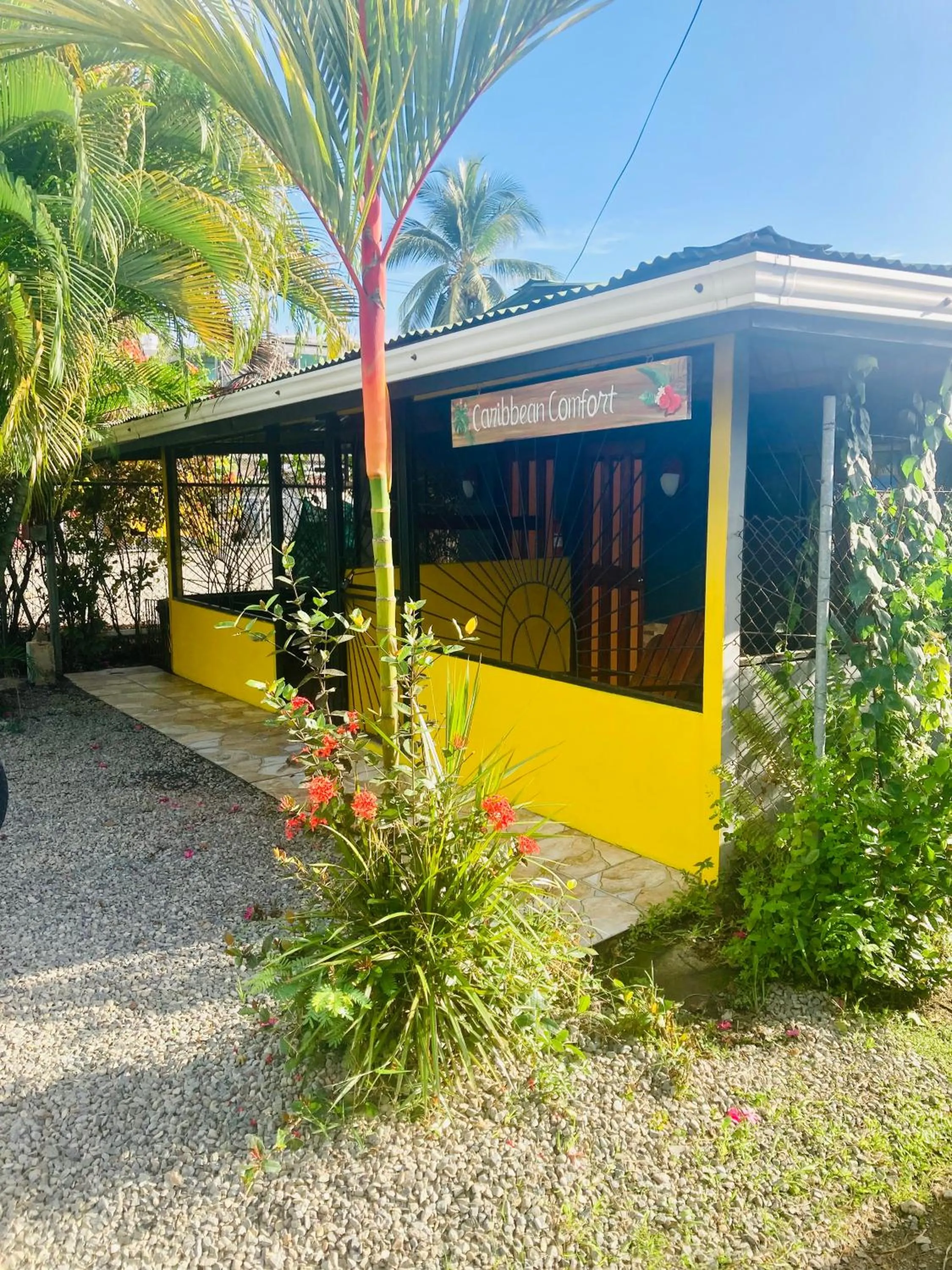 Caribbean Comfort