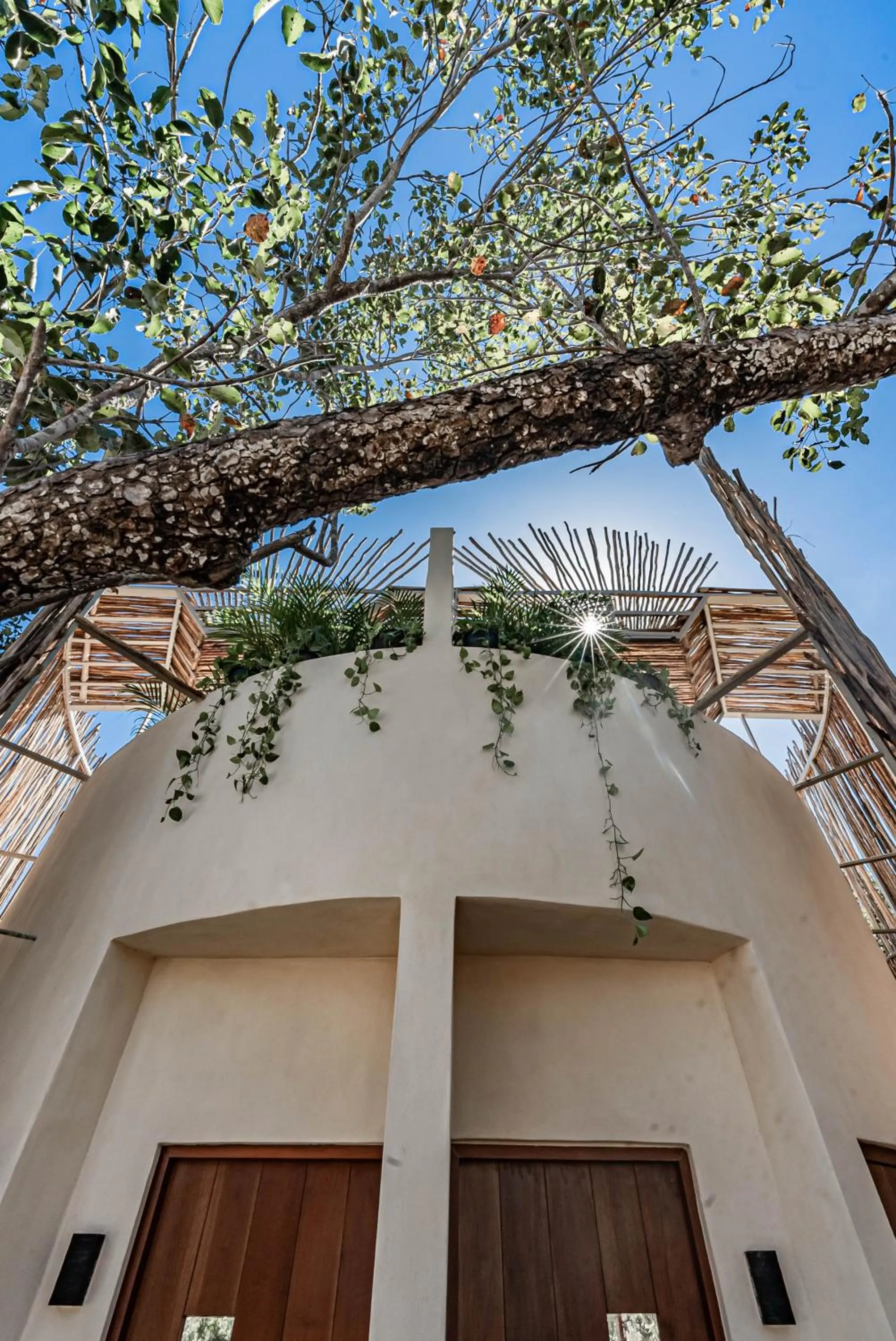 Natural landscape in Rubi Tulum