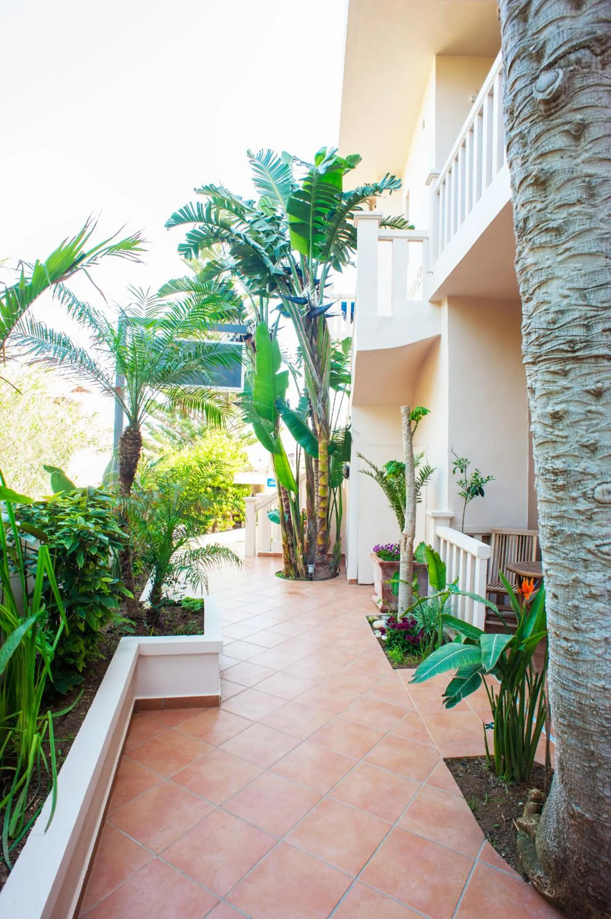 Other in Frideriki Studios & Apartments