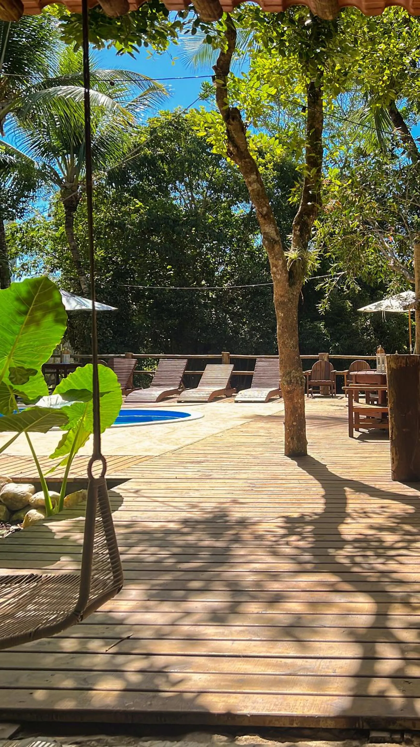 Pool view in Casa La Luna
