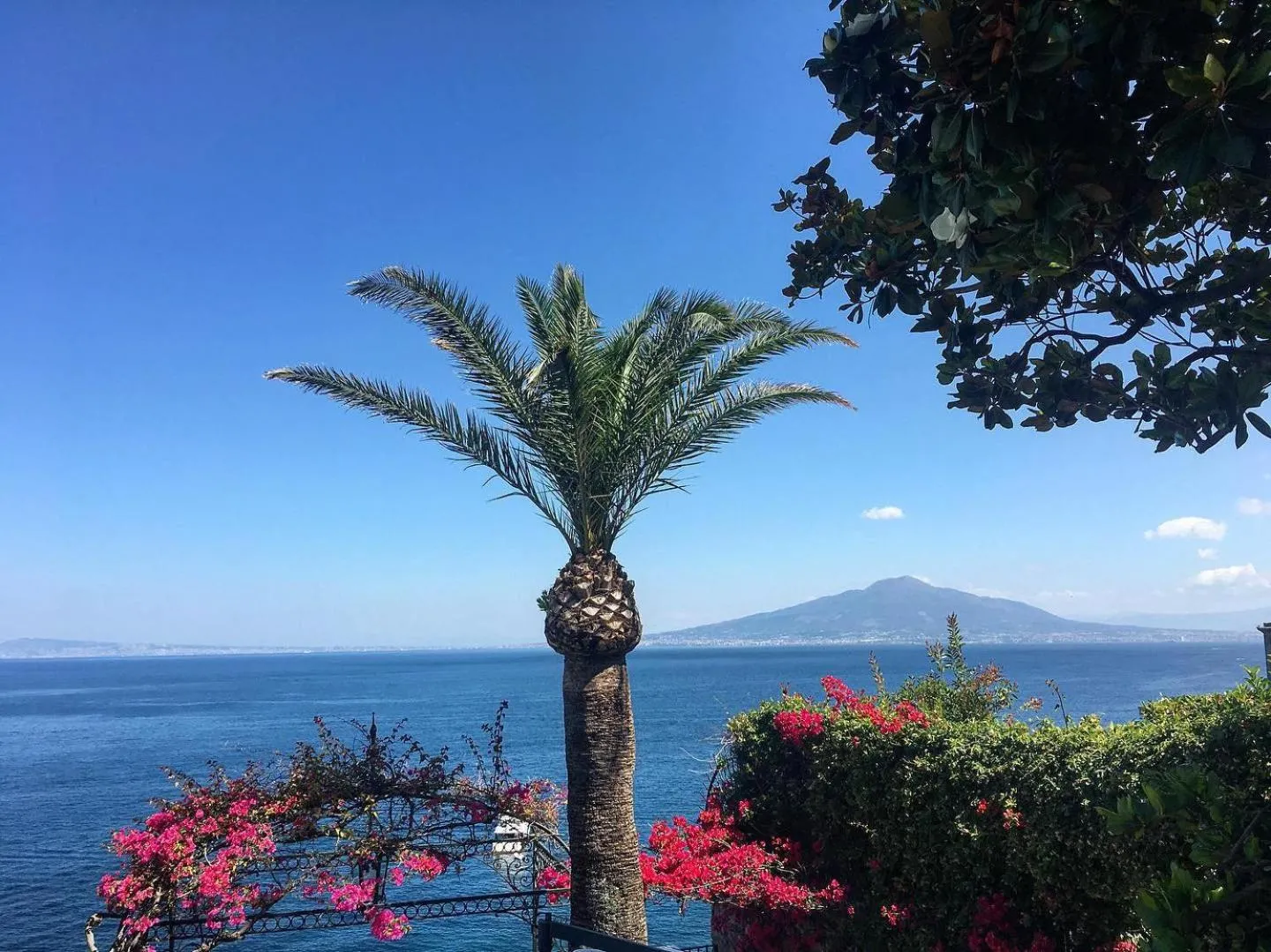 Natural landscape in Villa Antiche Mura Relais