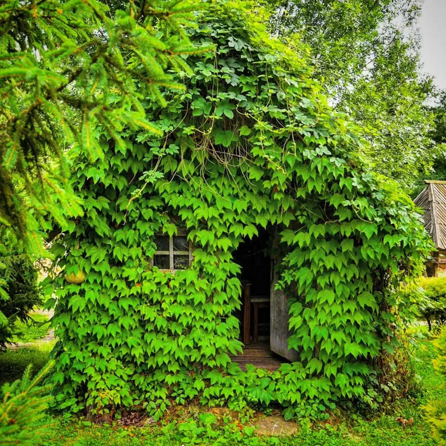 Property building in Kraljevsko selo Kotromanićevo