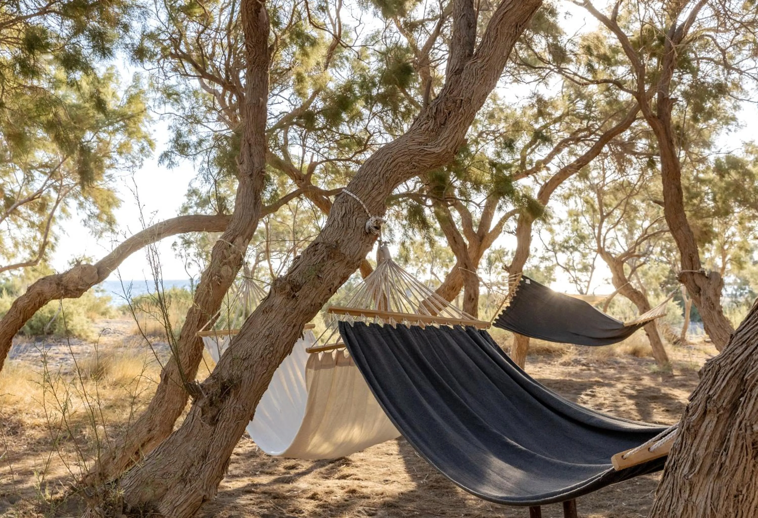 Natural landscape in Scorpios Beach Santorini