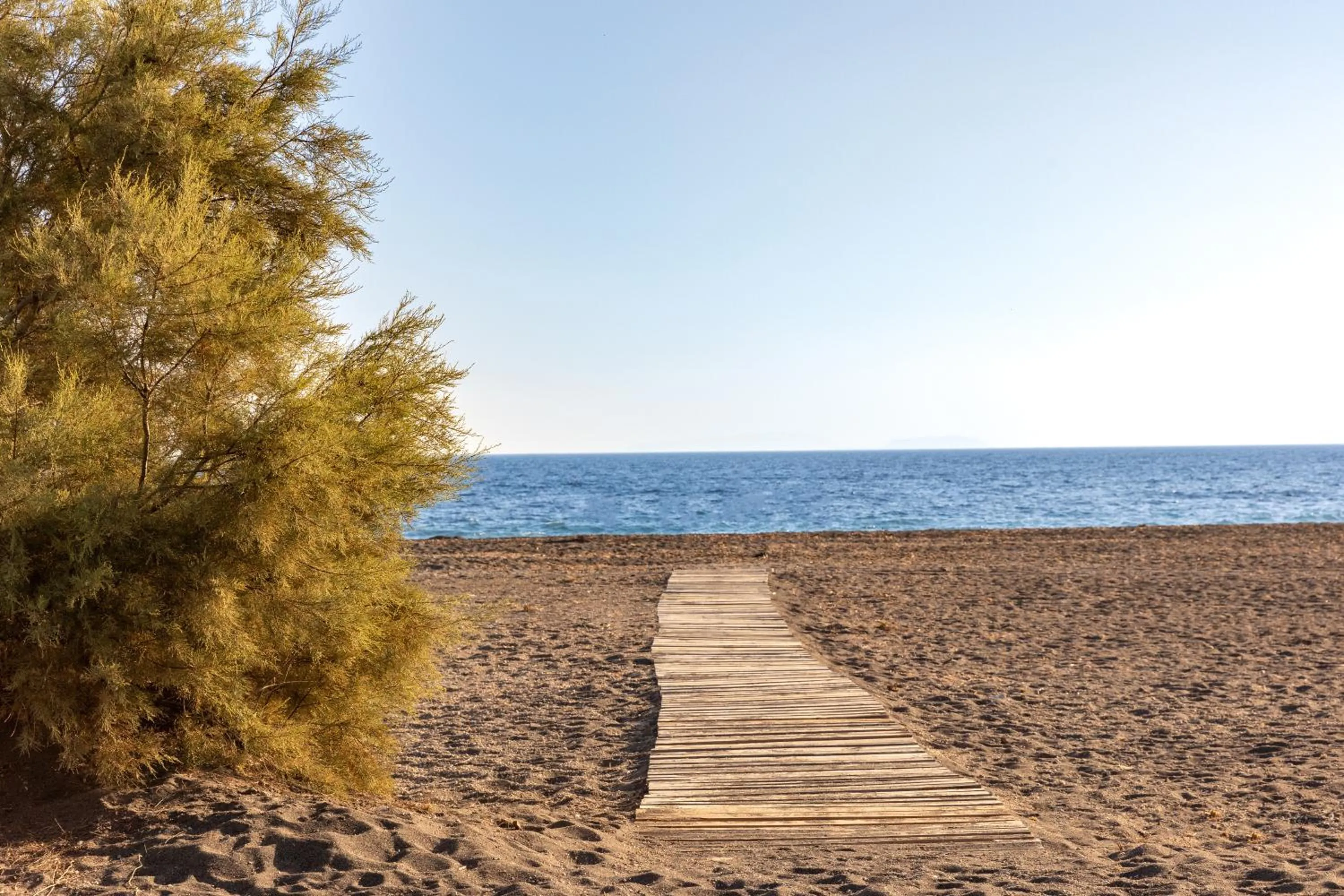 Beach in Scorpios Beach Santorini