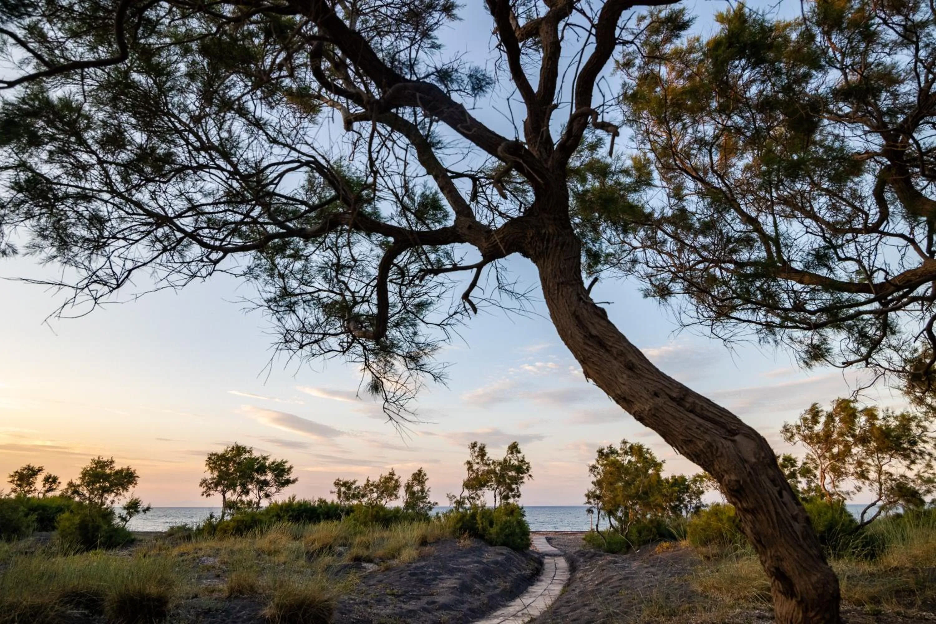 Natural landscape in Scorpios Beach Santorini