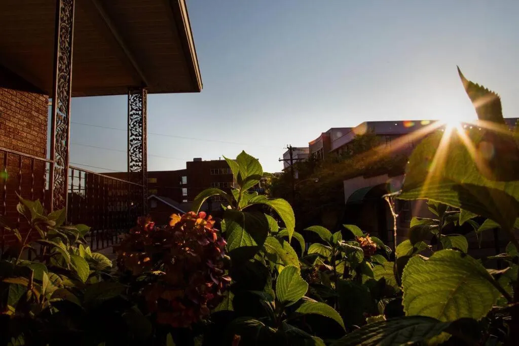 Neighbourhood in Hilltop Hideaway - 3BDR in Downtown London, KY