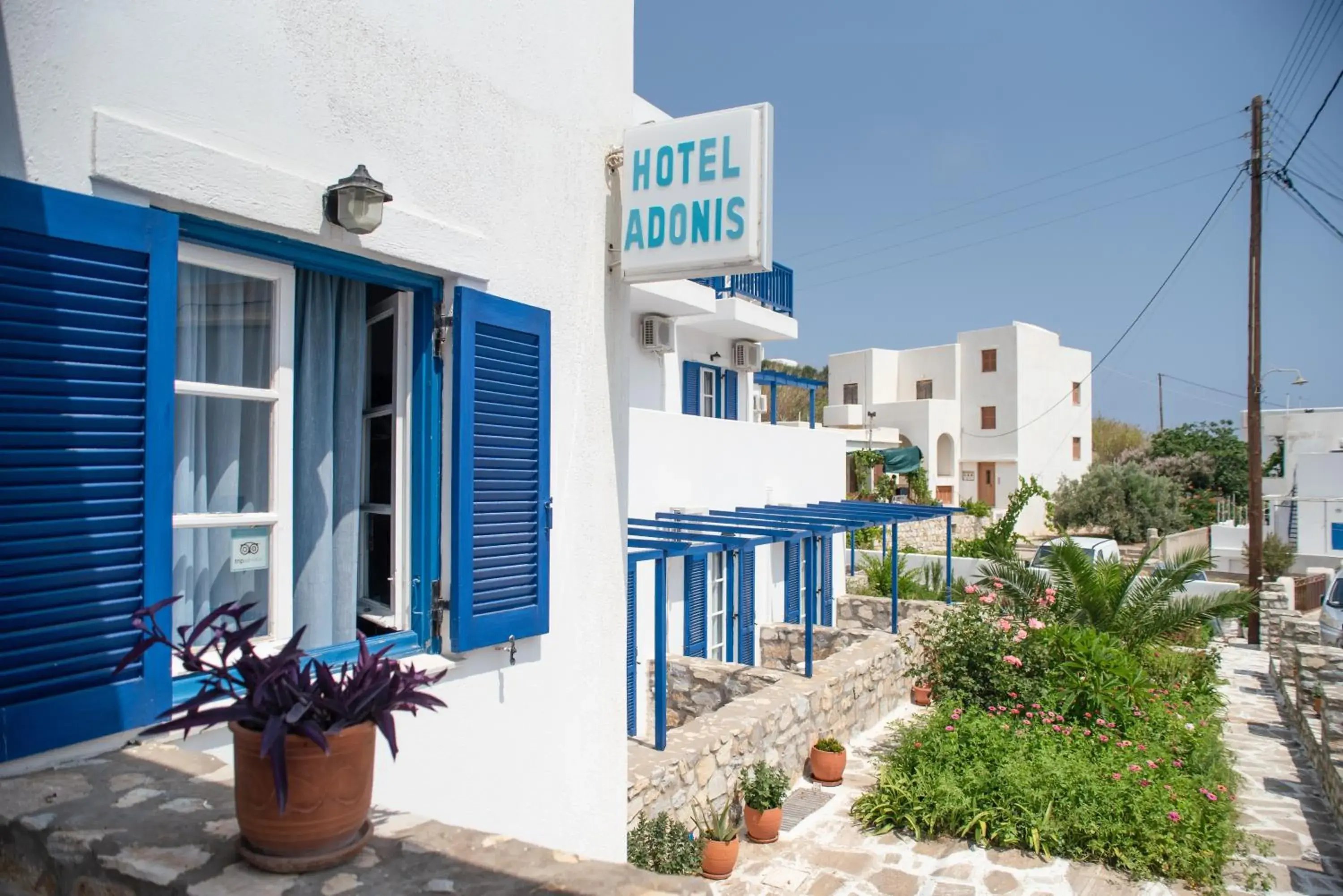 Property building in Adonis Hotel Naxos Property building in Adonis Hotel Naxos