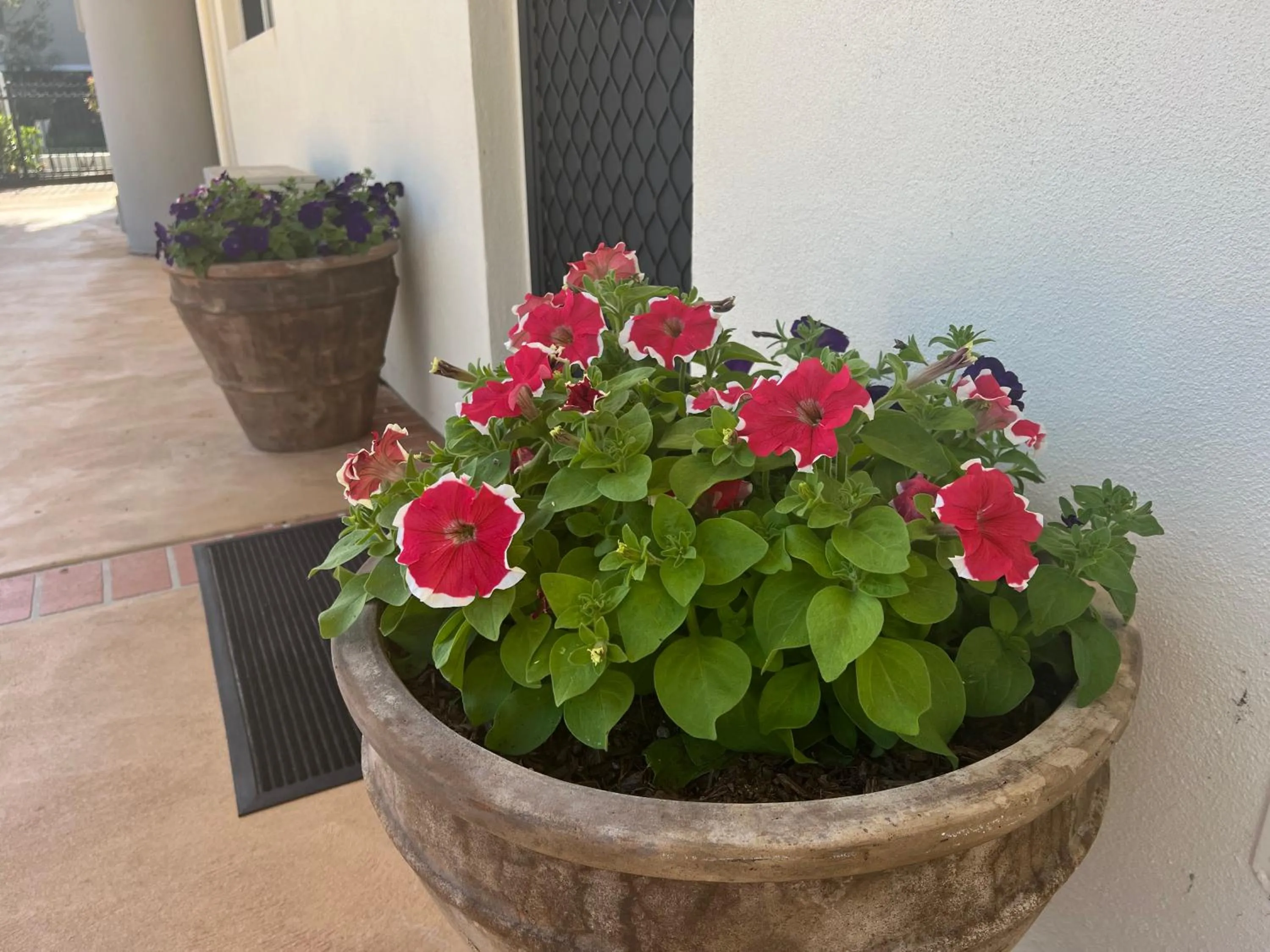 Nautilus Hamptons Style Luxury Beach Apartment Merimbula