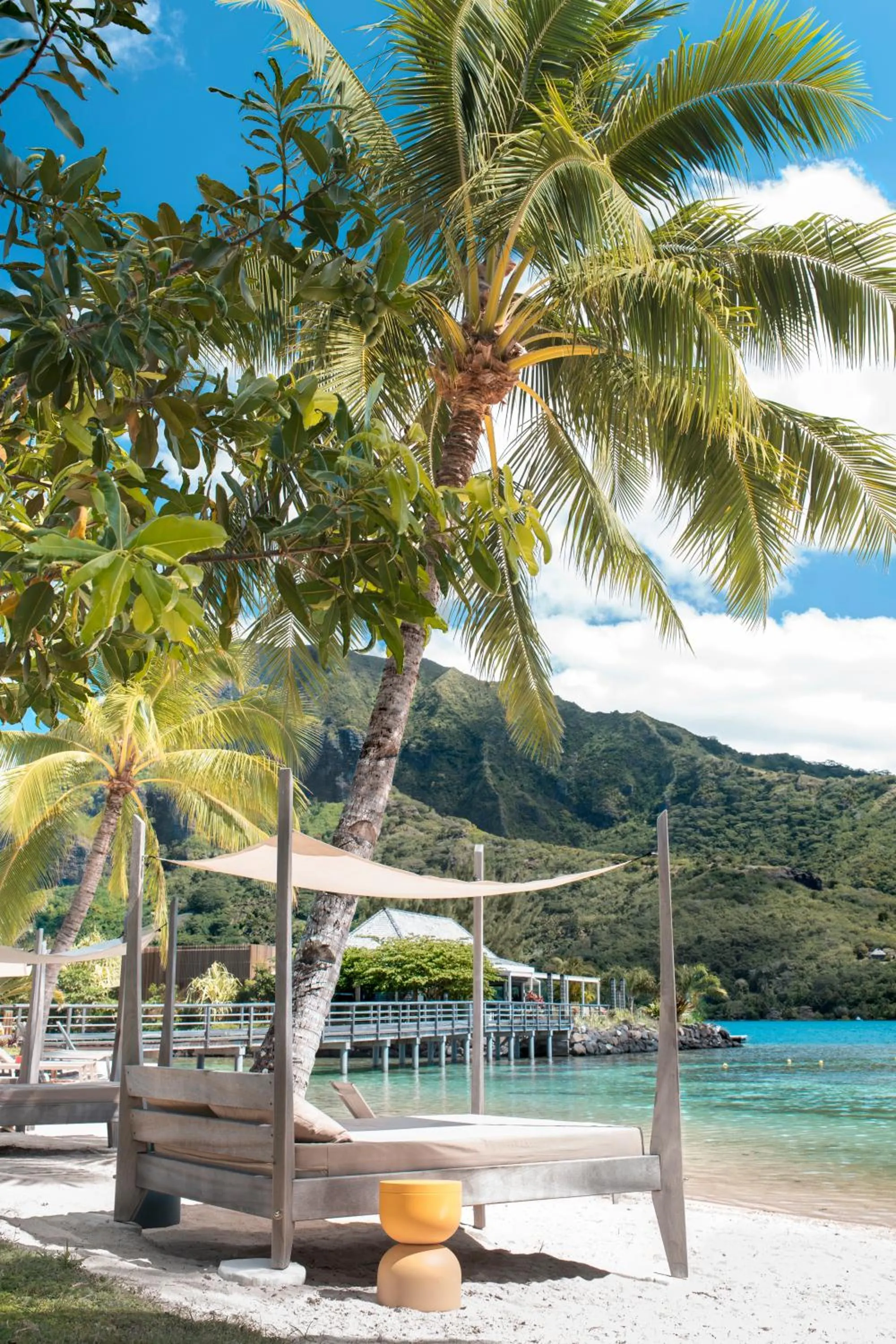 Beach in Cook's Bay Hotel & Suites