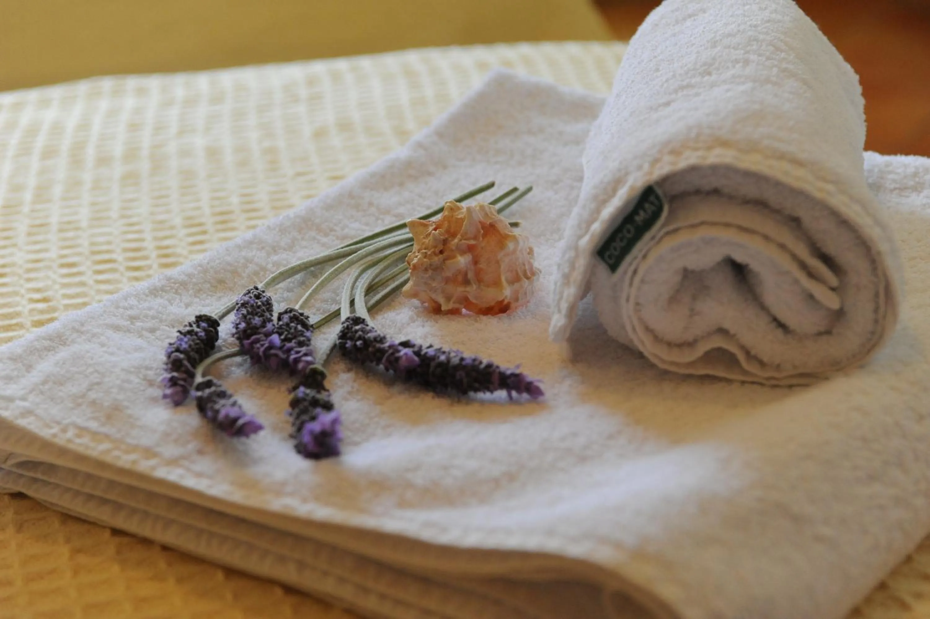 Decorative detail in Long View Hammam & Spa