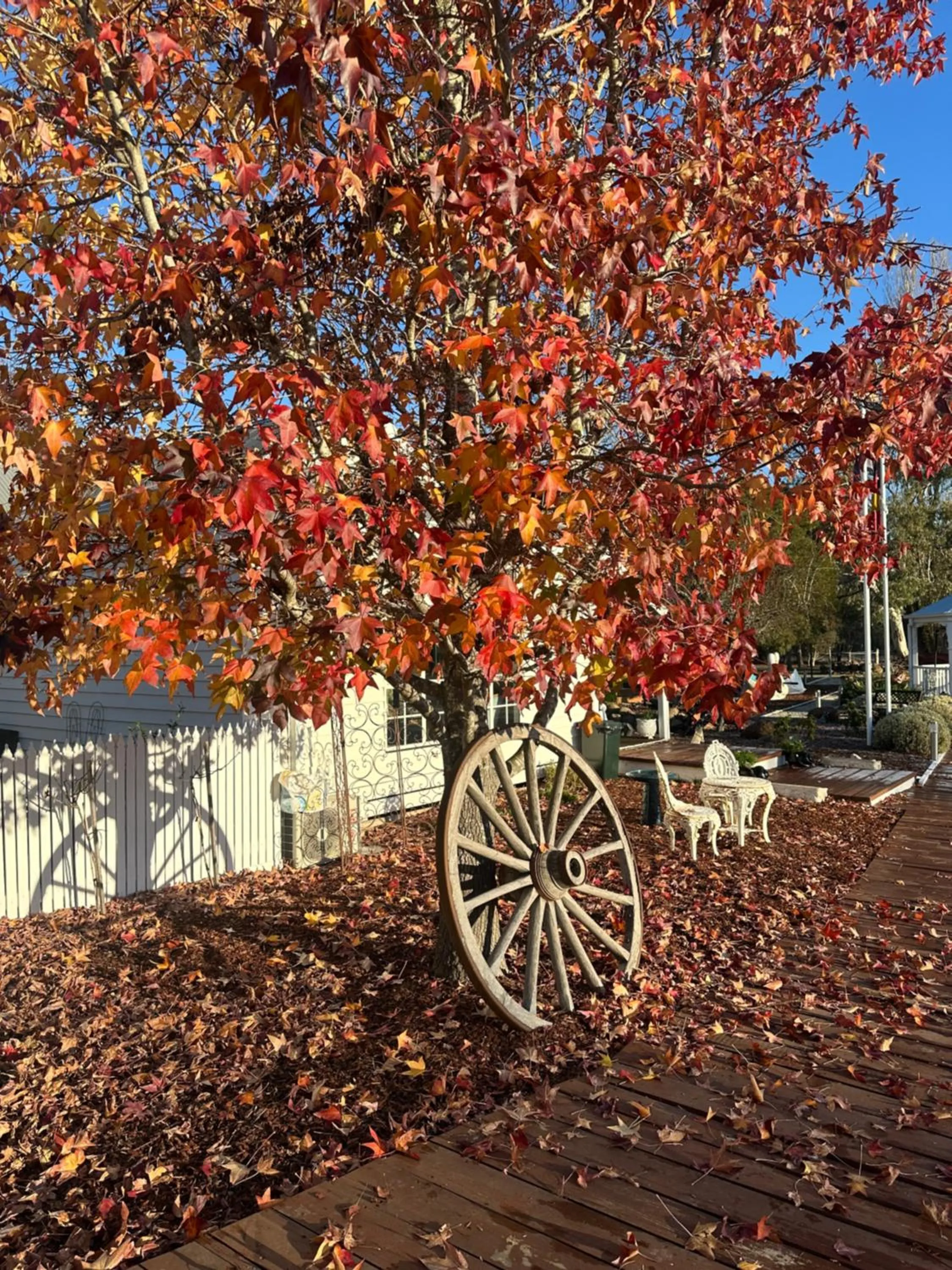 Tell Tales Bed & Breakfast