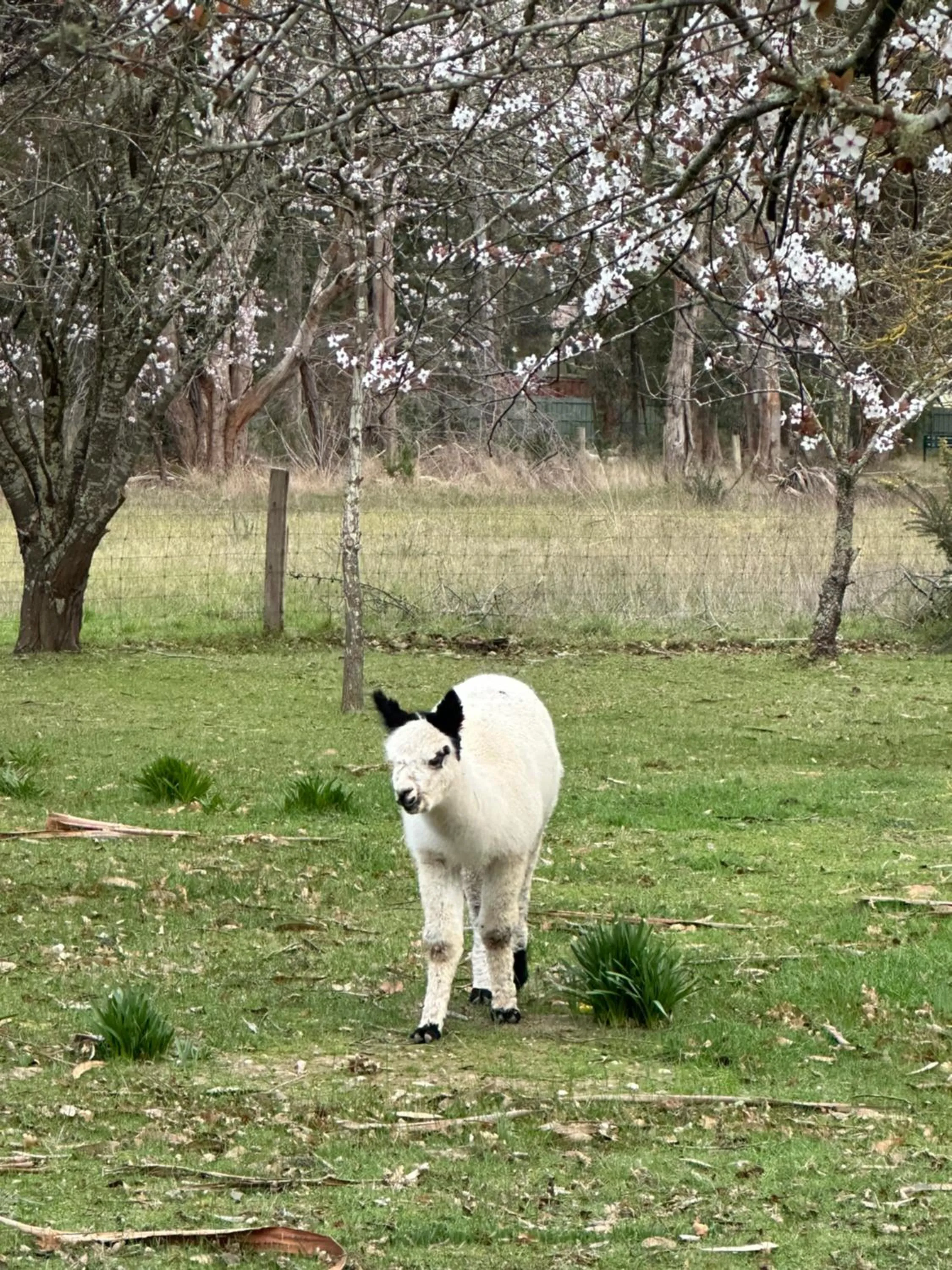 Tell Tales Bed & Breakfast