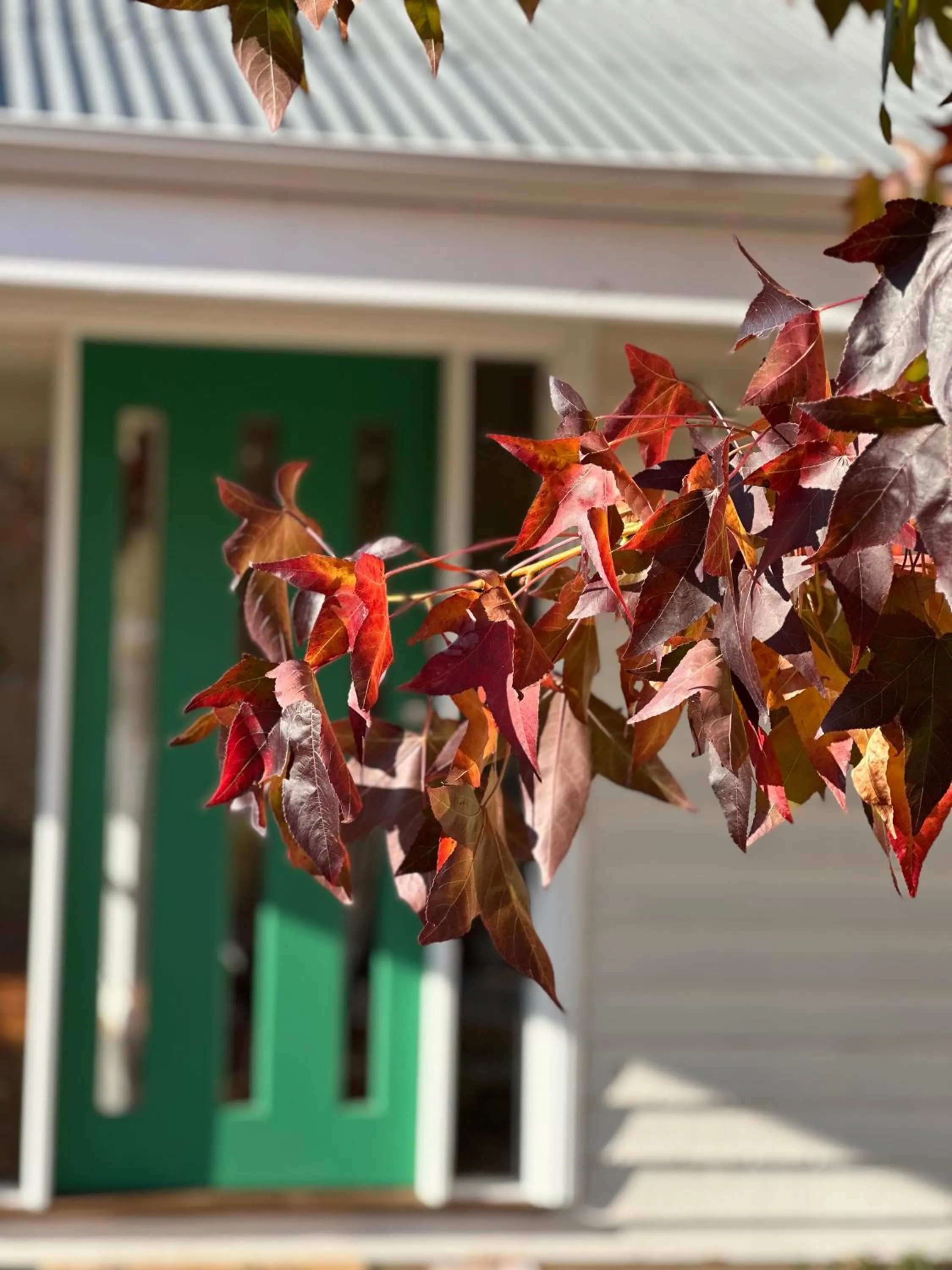 Tell Tales Bed & Breakfast