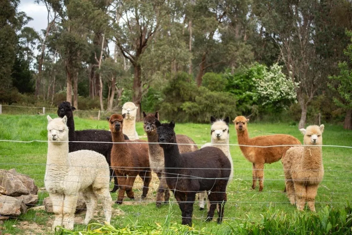 Tell Tales Bed & Breakfast