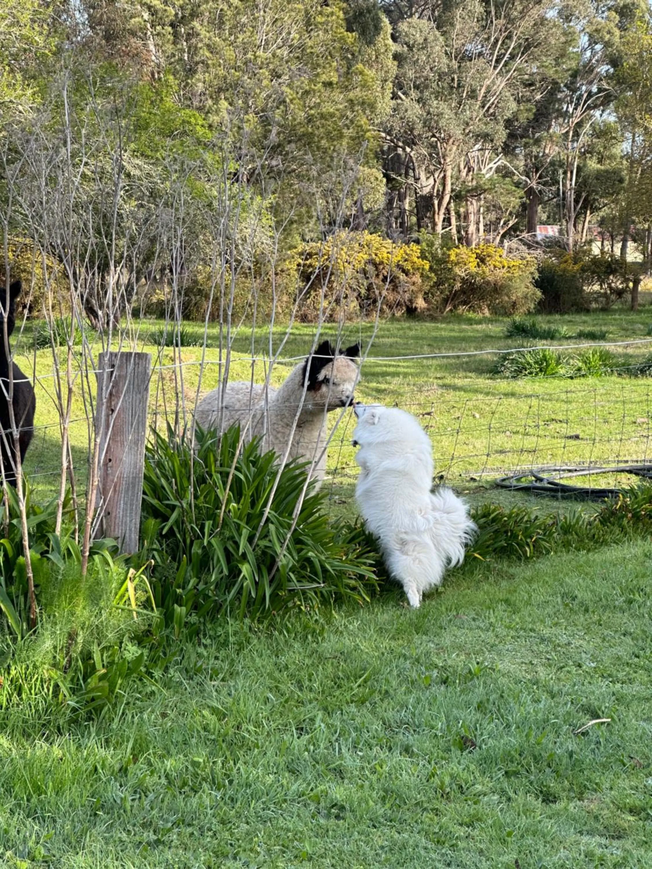 Tell Tales Bed & Breakfast